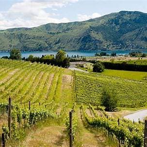 Hard Row to Hoe Vineyards - Image 1