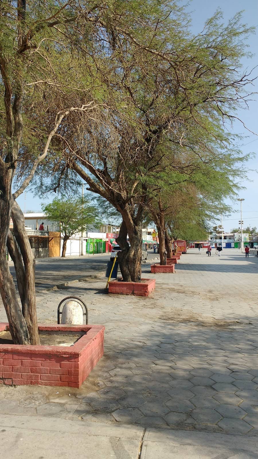 Vertical photo