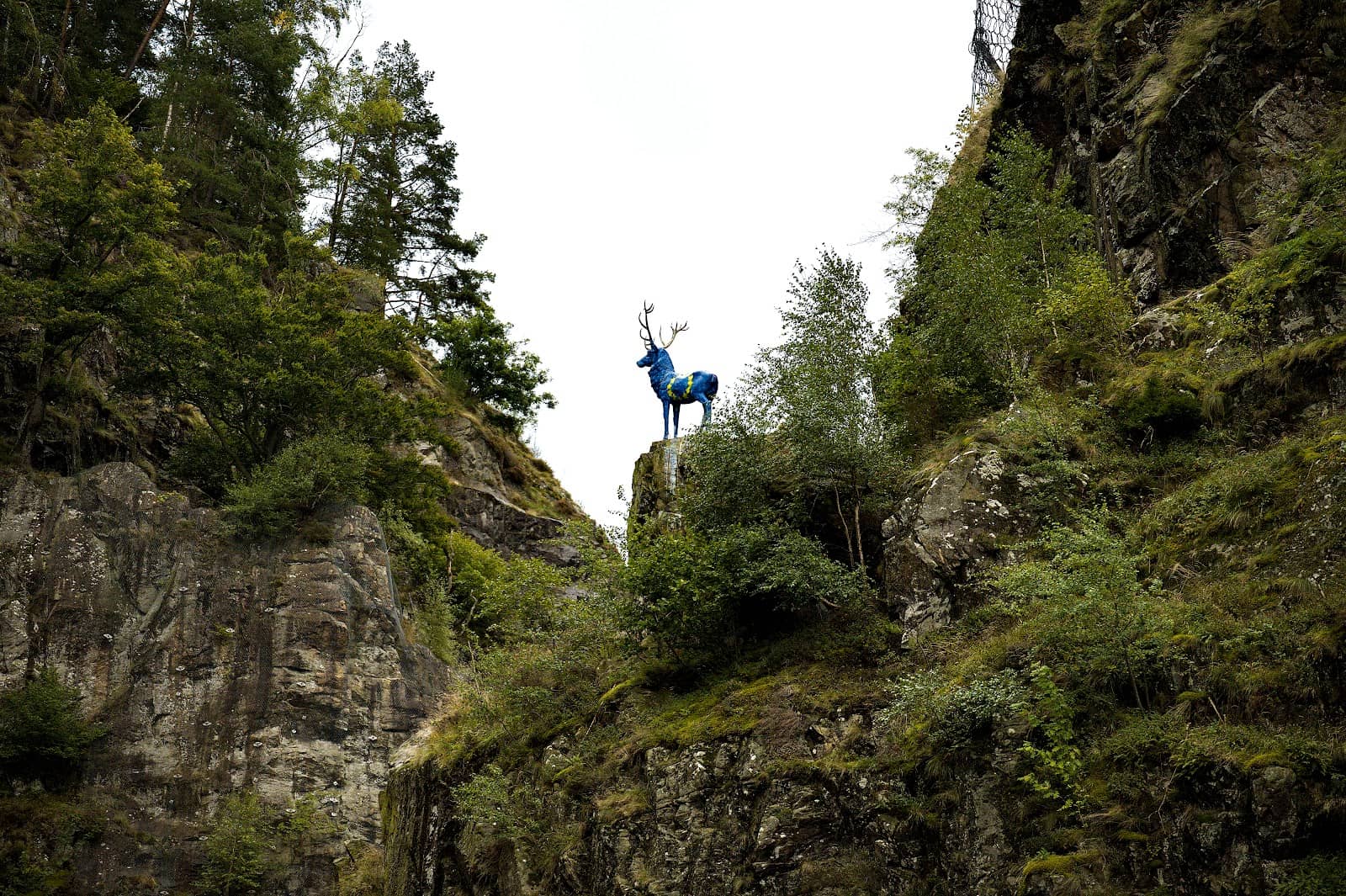 Vertical photo