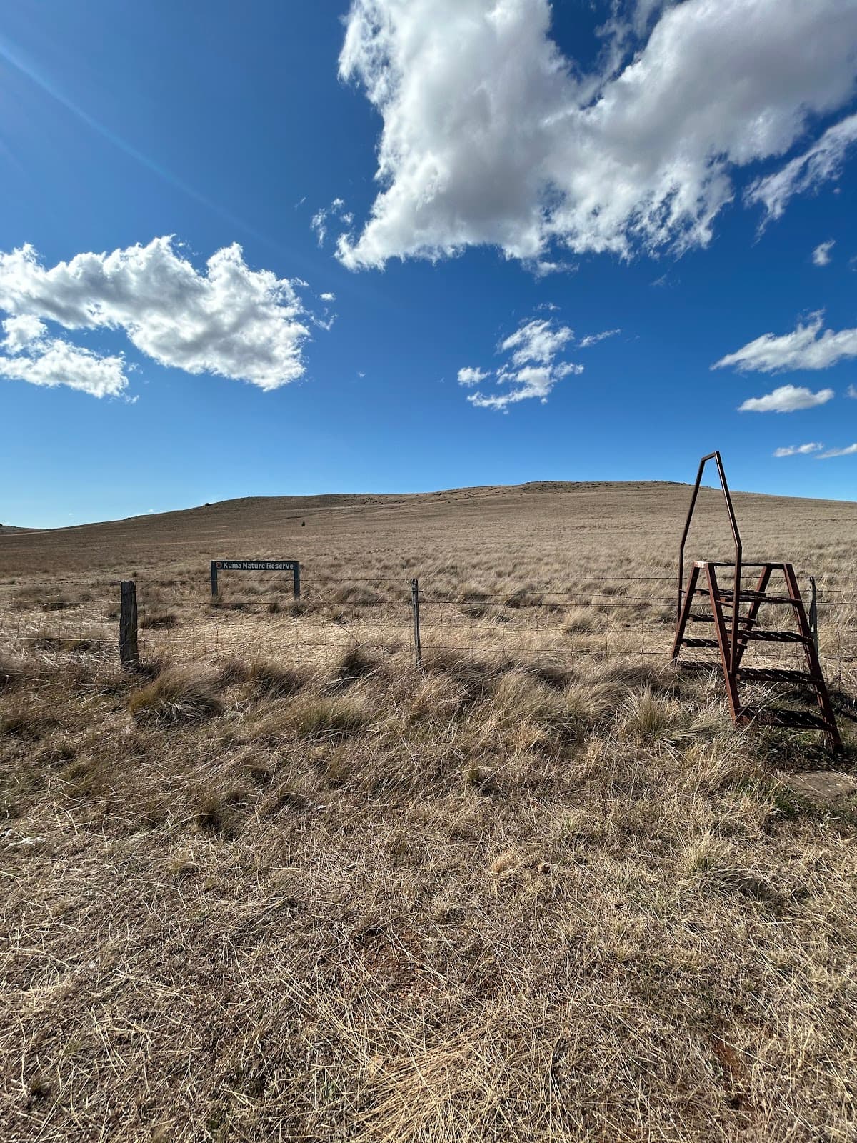 Old Cooma Common Grassland Reserve - Image 1