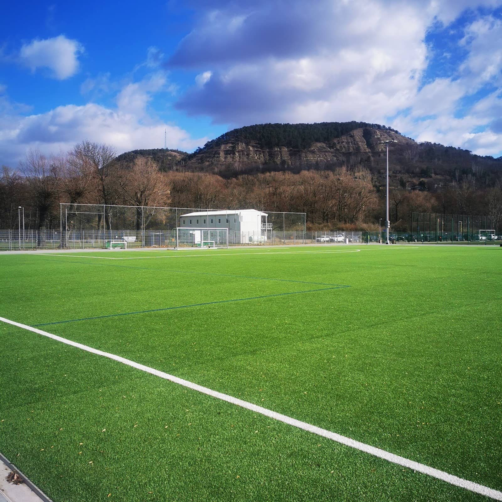 Expansive Green Spaces