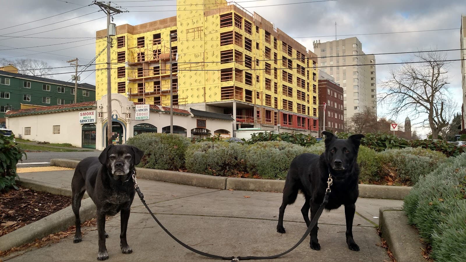 Stadium District - Image 1