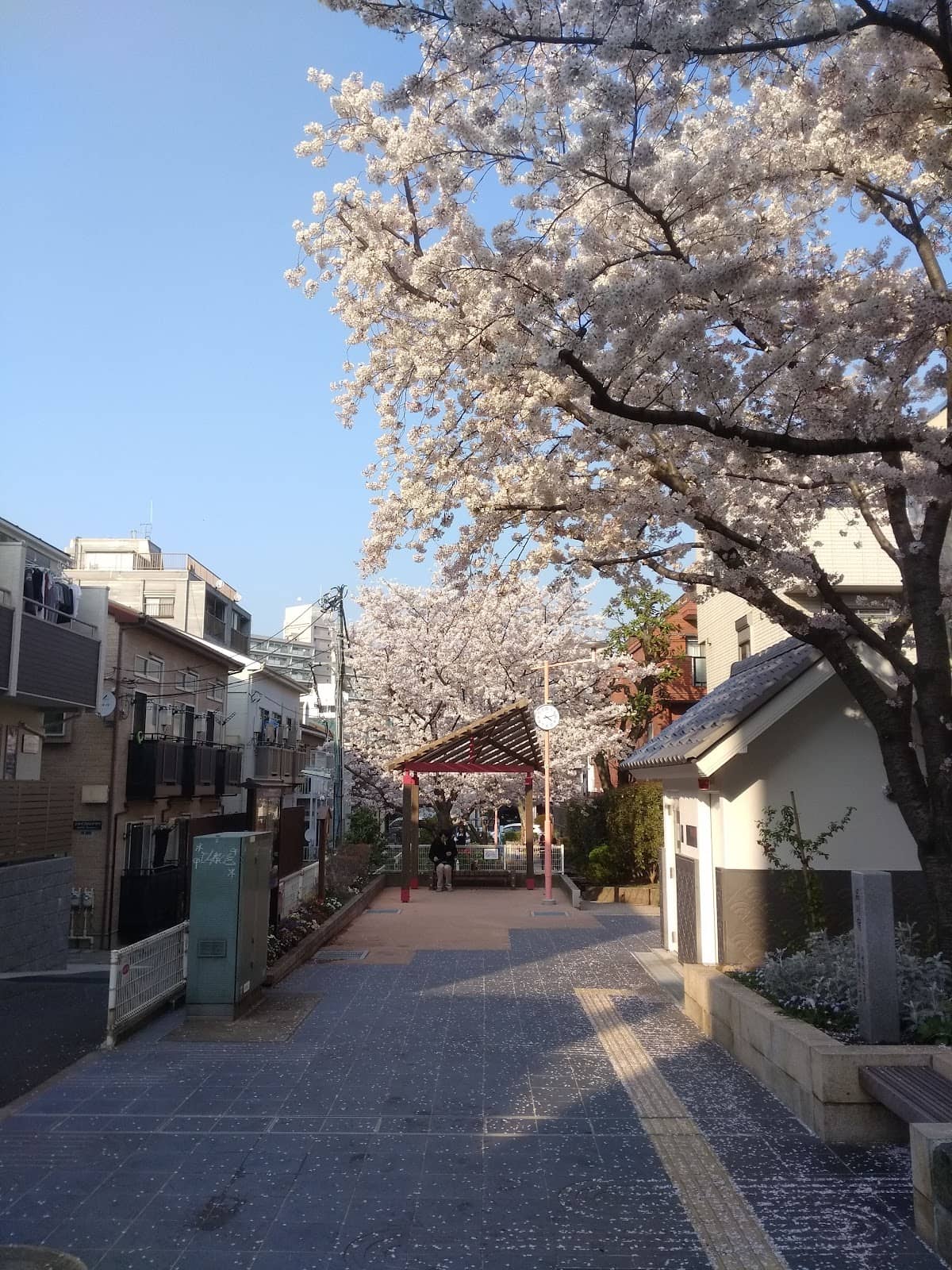 Vertical photo