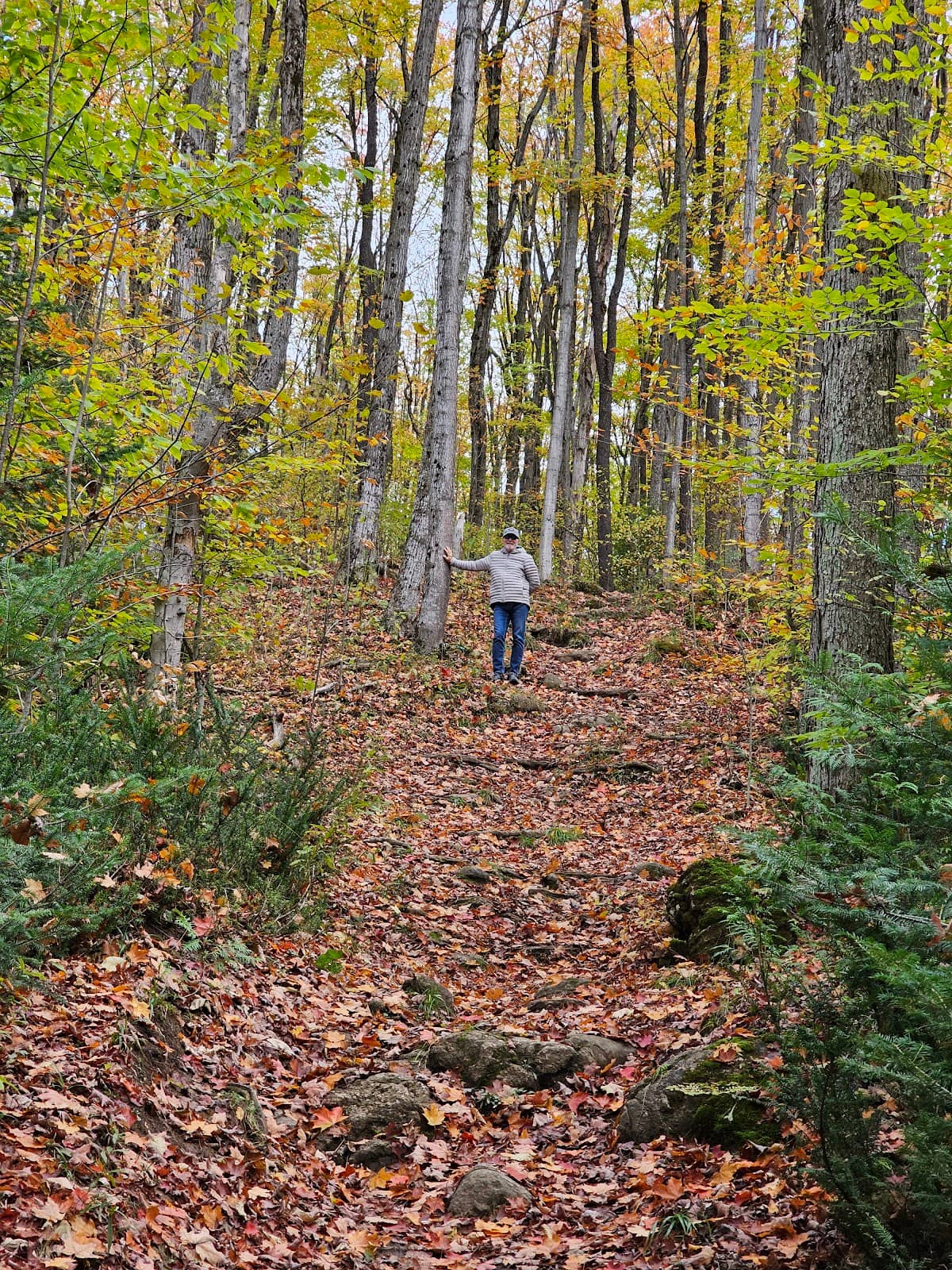 Bruce Trail Access