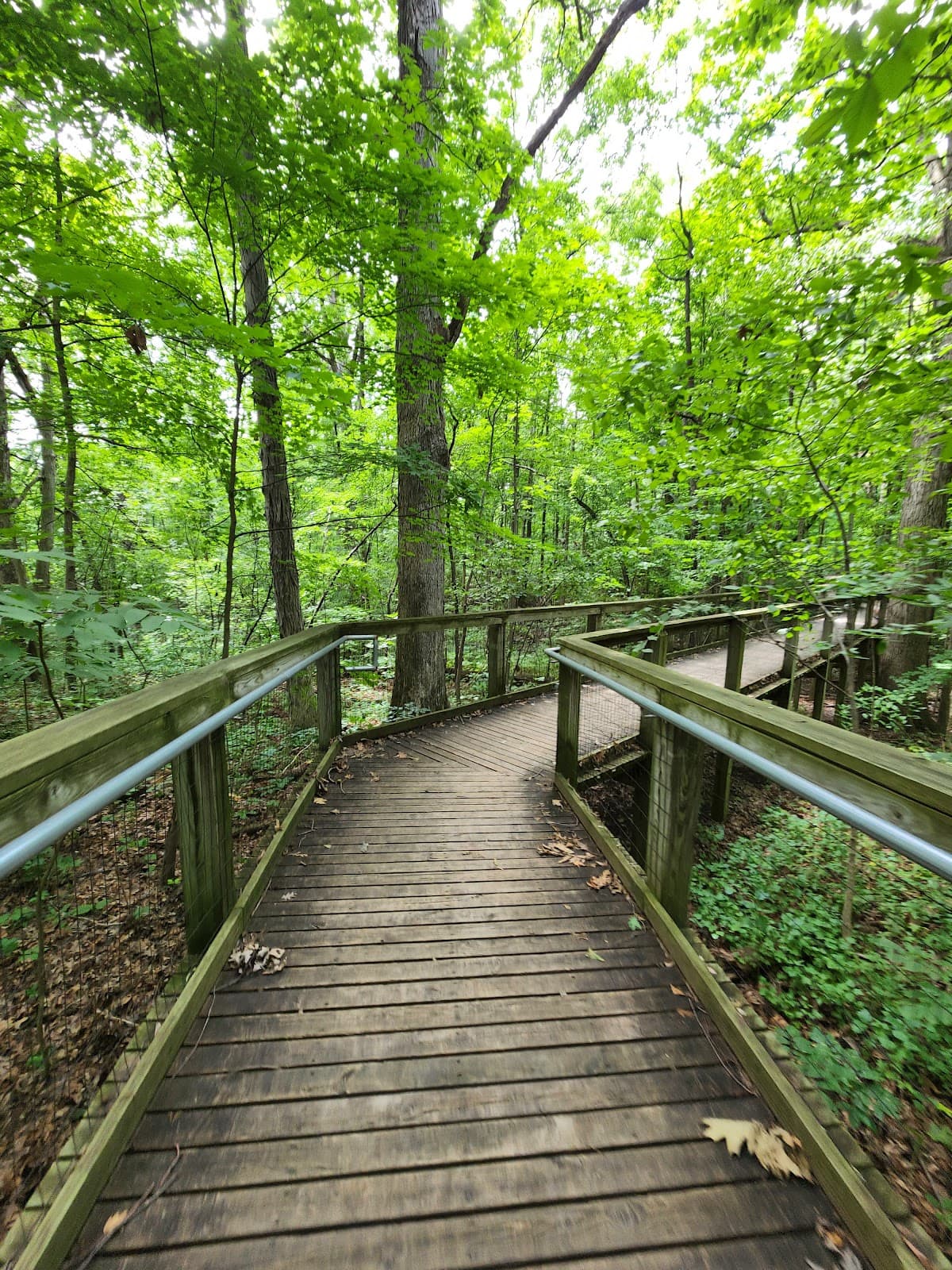 Lindenwood Nature Preserve - Image 1