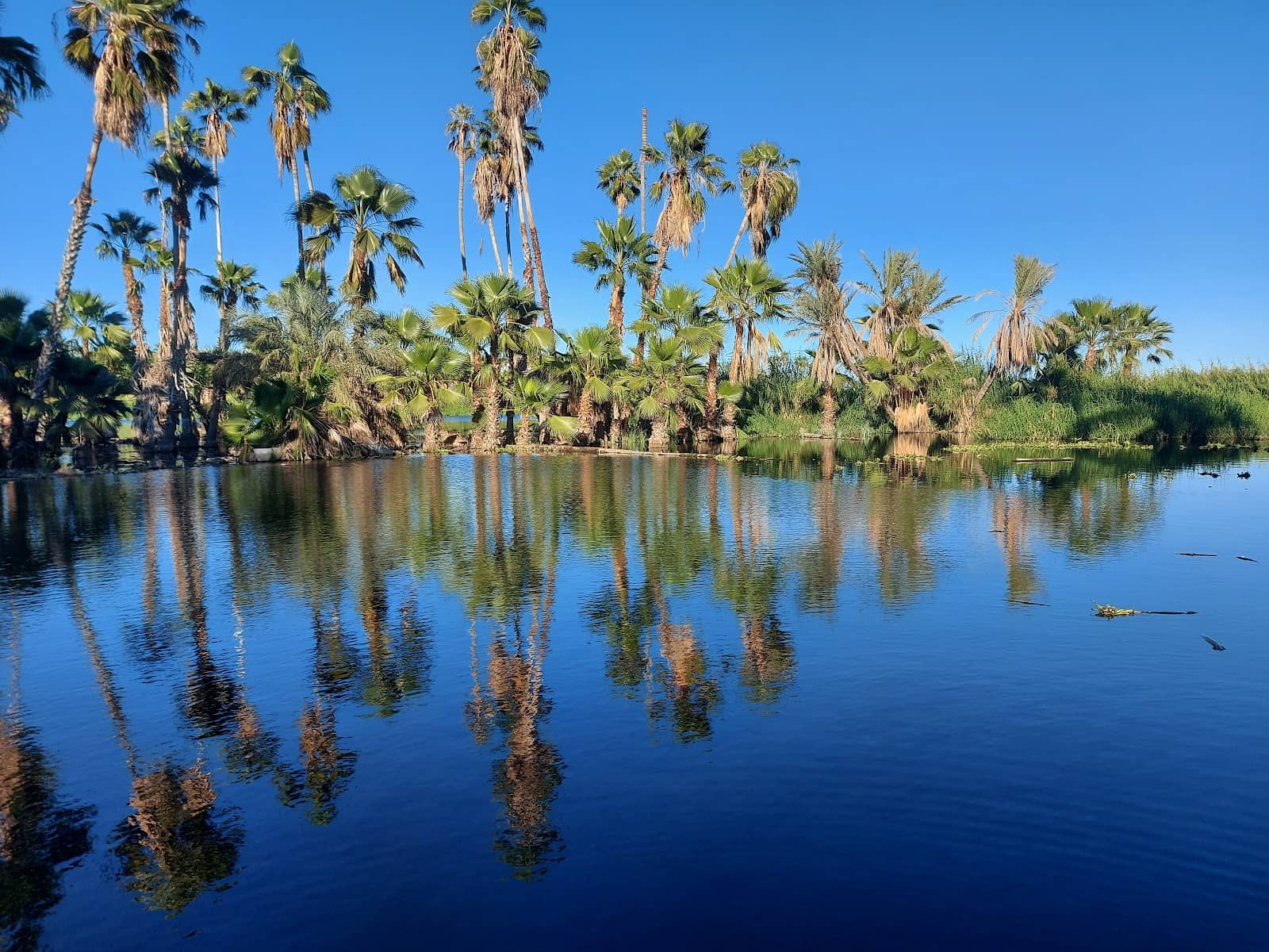 Horseback Riding Adjacent
