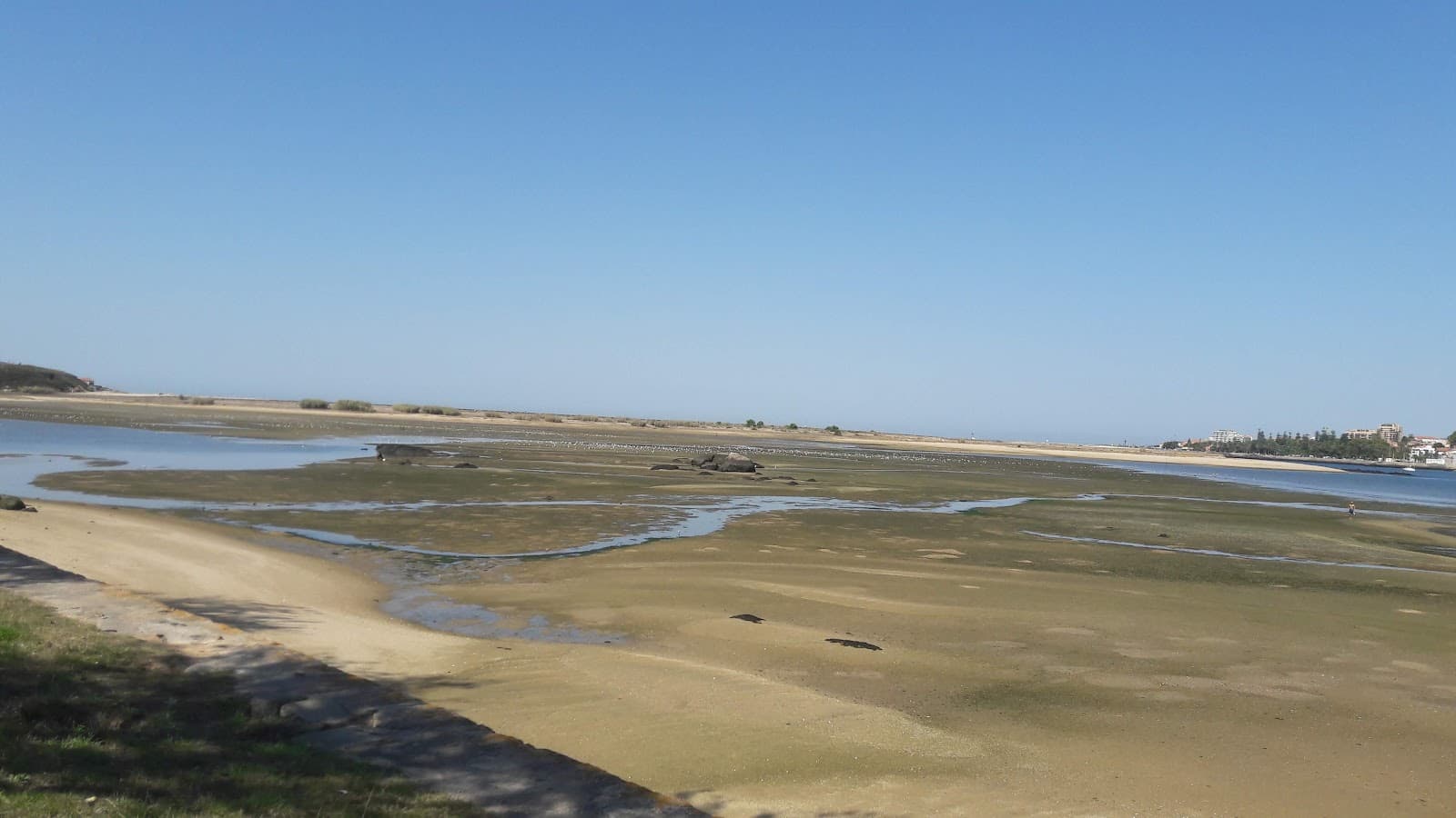 Douro Estuary Nature Reserve - Image 1
