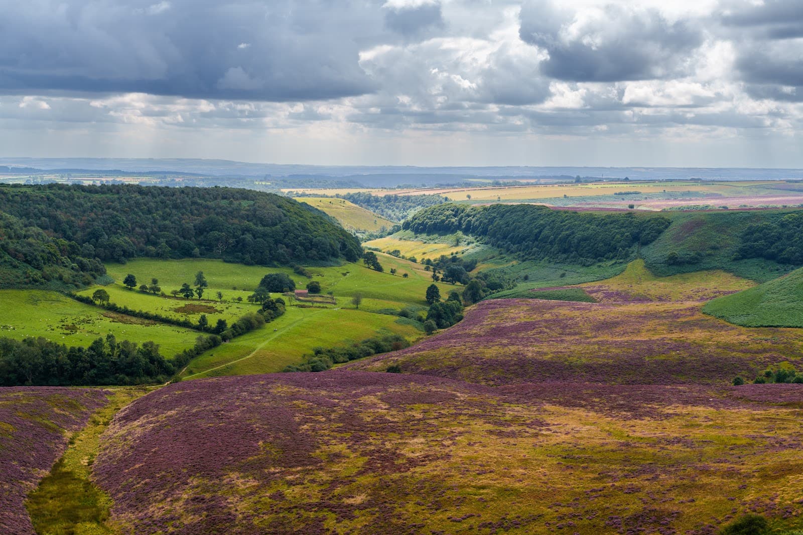 Saltergate Viewpoint - Image 1