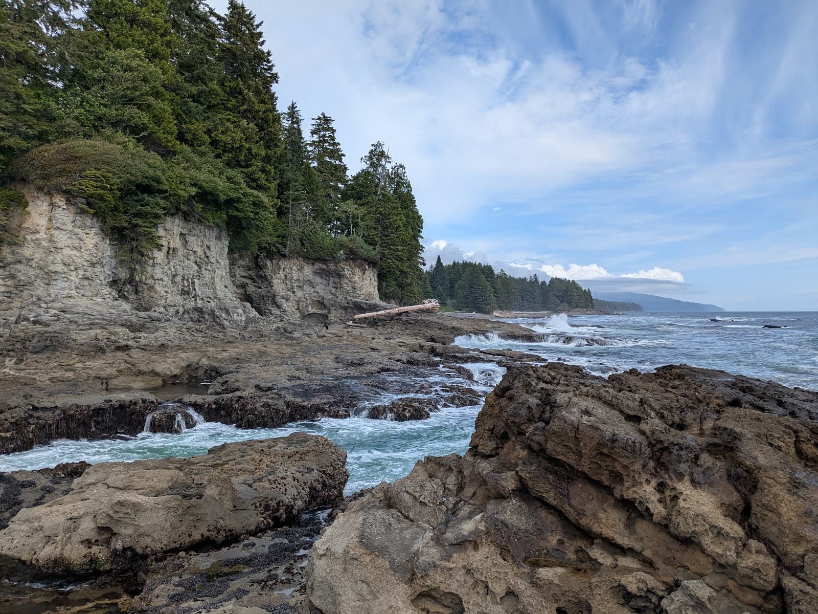 Botanical Beach - Image 1