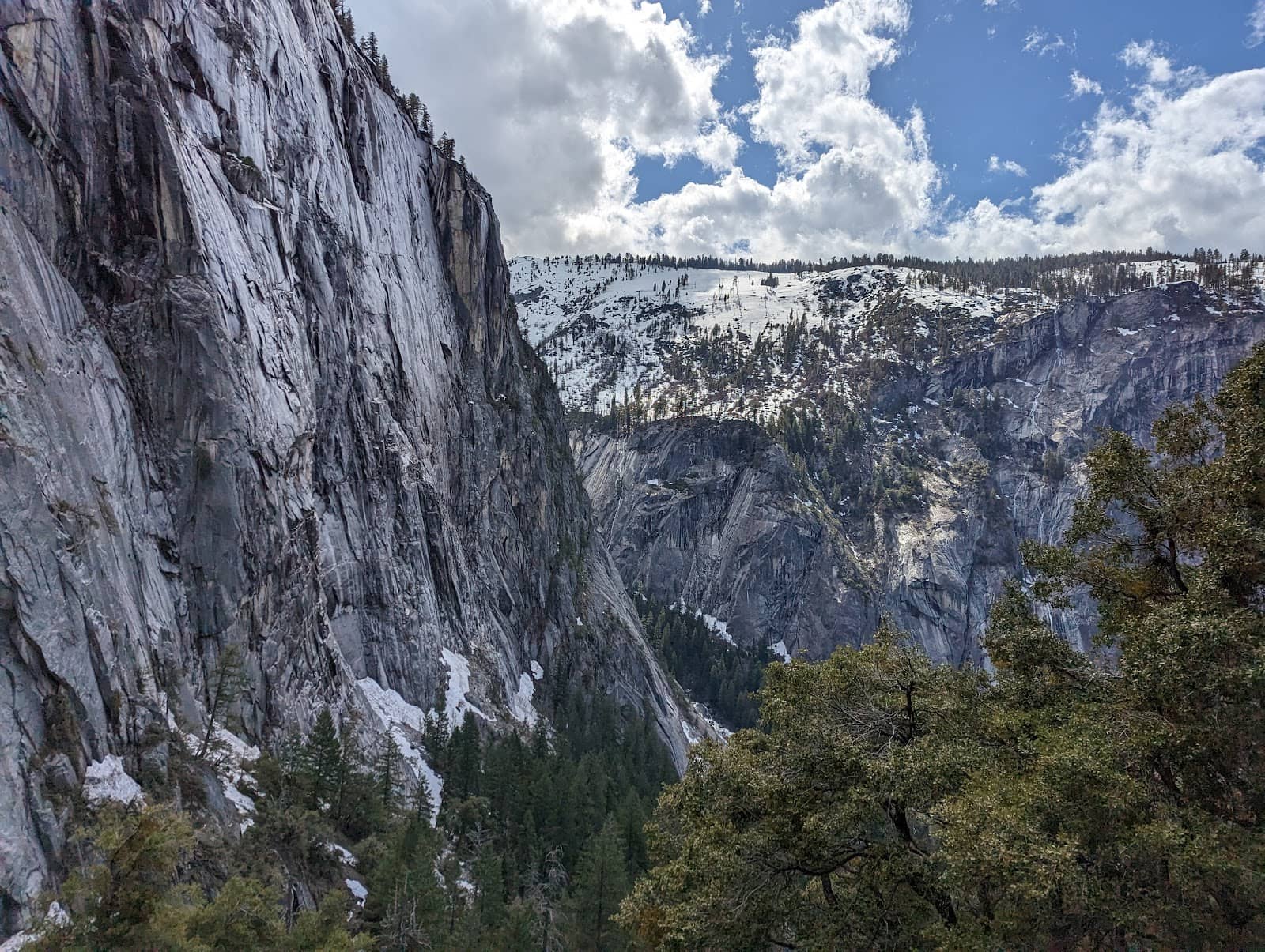 Vertical photo