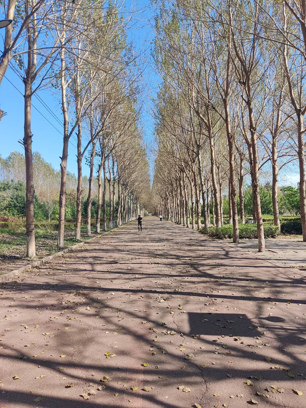 Vertical photo