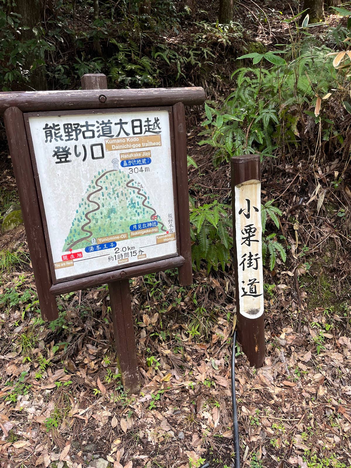 Primitive Mountain Path