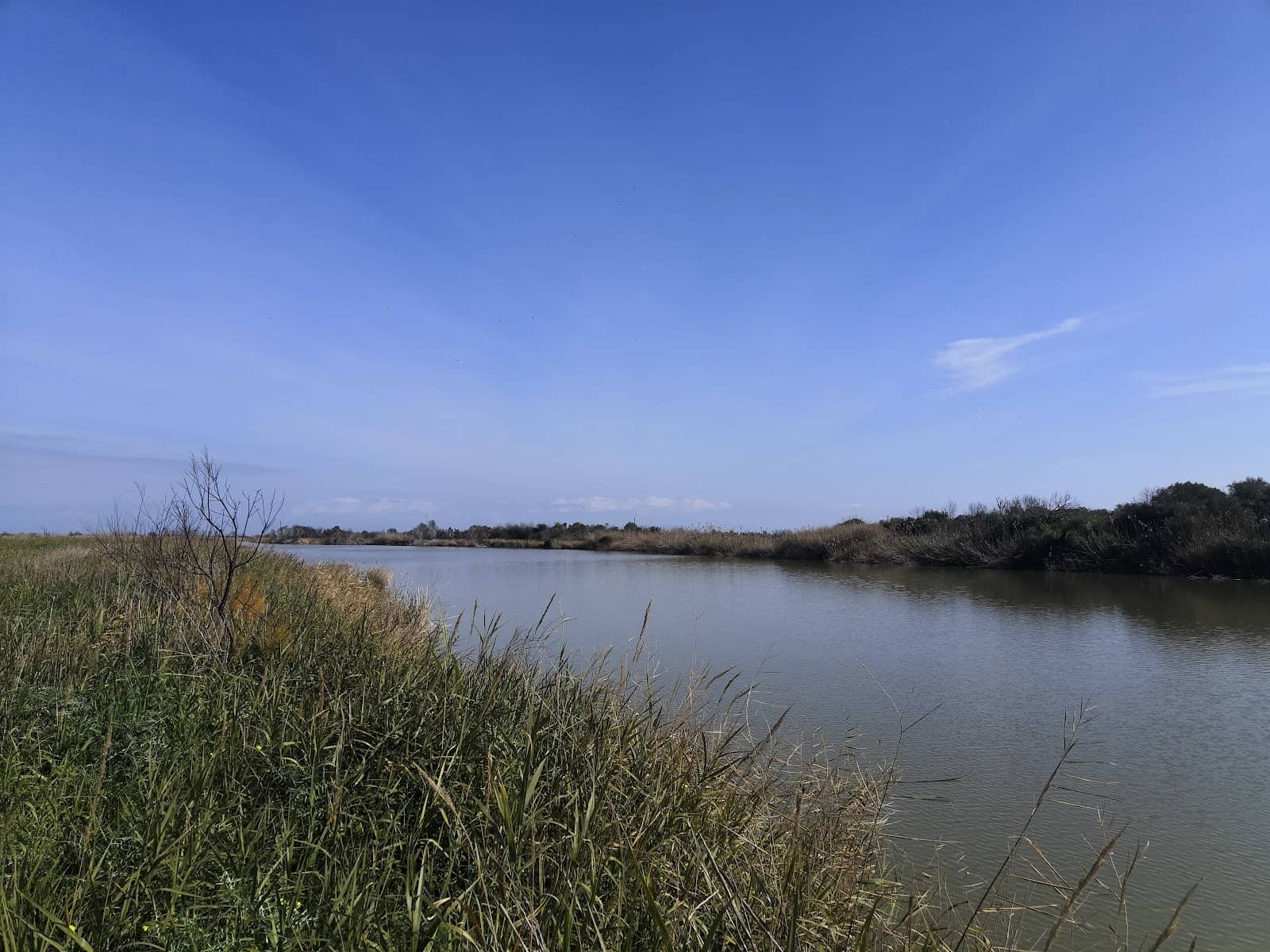 Coastal Dunes & Salt Marshes