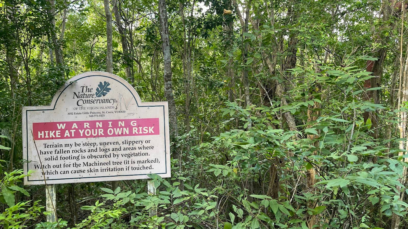 Refreshing Dip Post-Hike