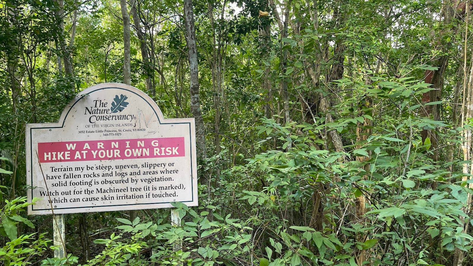 Magens Bay Nature Trail - Image 1