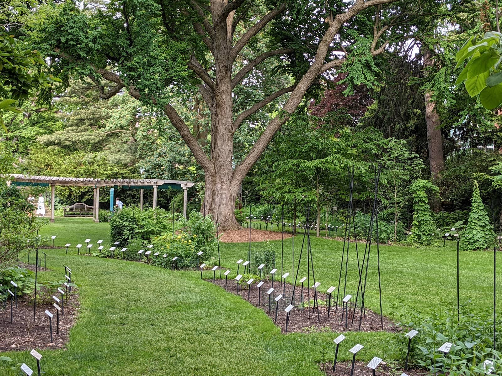 Tranquil Pond and Wildlife