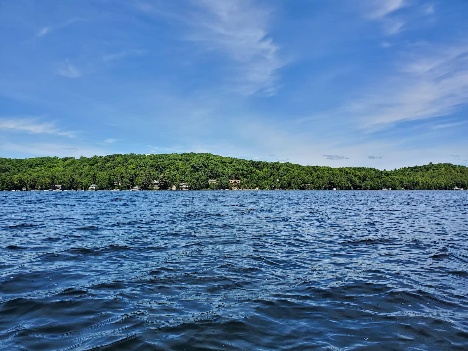 Haliburton Forest Canopy Tour