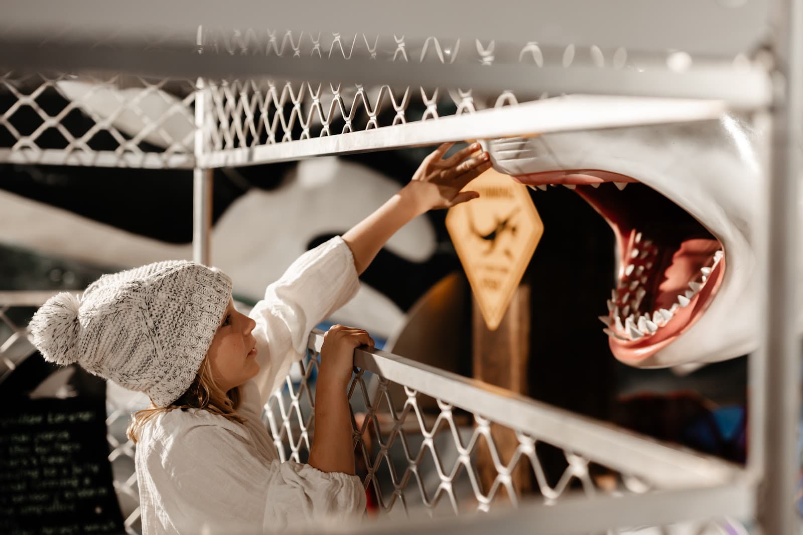 South Australian Whale Centre Victor Harbor - Image 1