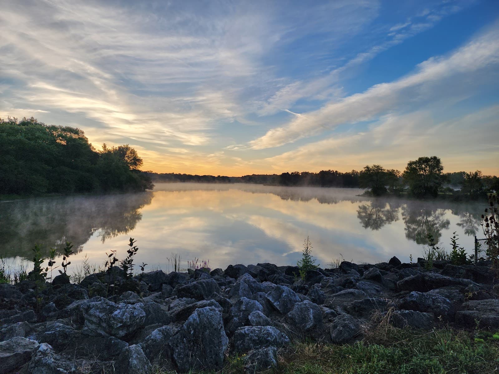 Busse Woods Trail Loop - Image 1