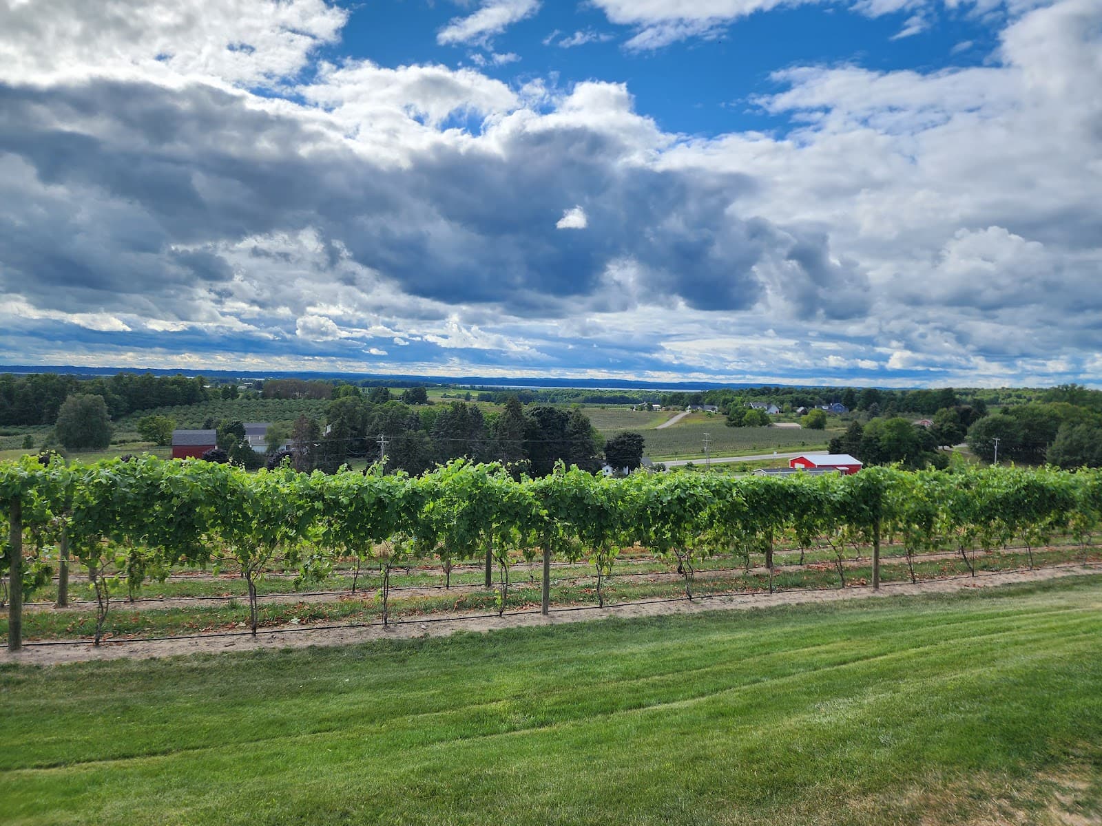 Old Mission Peninsula Wine Trail - Image 1