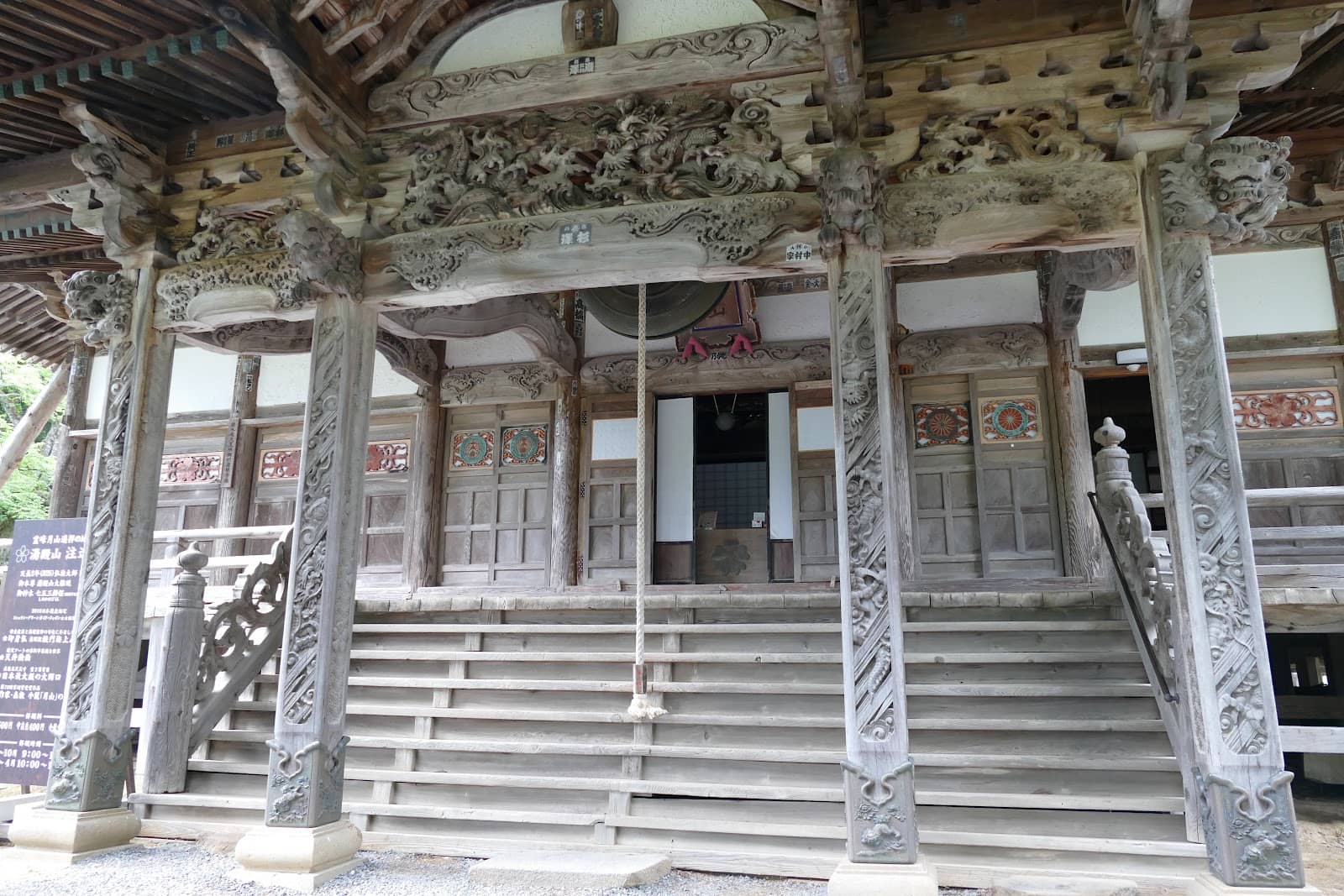 200-Year-Old Cherry Blossom