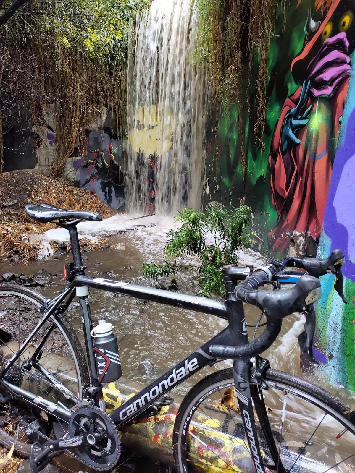 Cycling Adventure