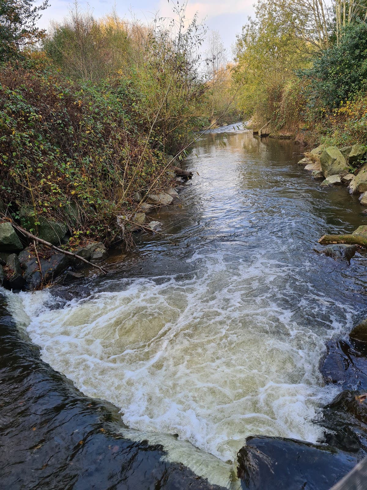 Rea Brook Valley Nature Reserve - Image 1
