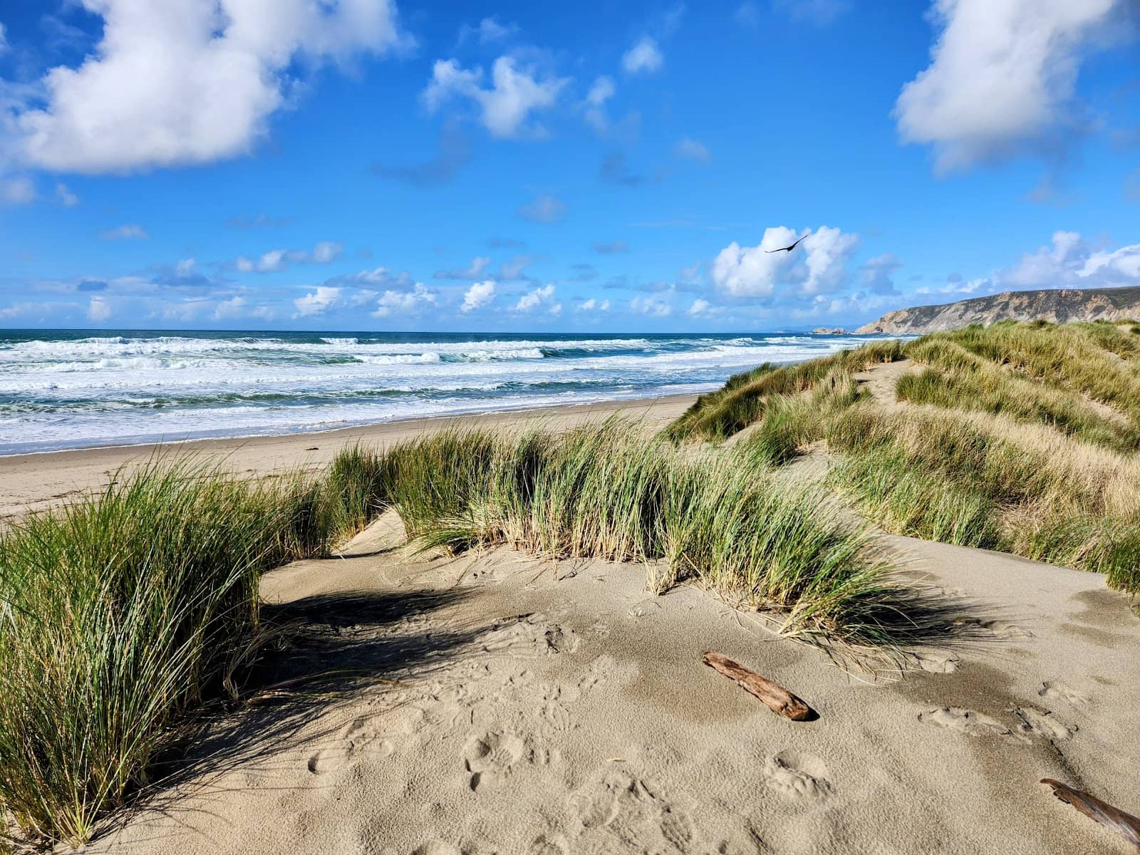 Dunes and Creek