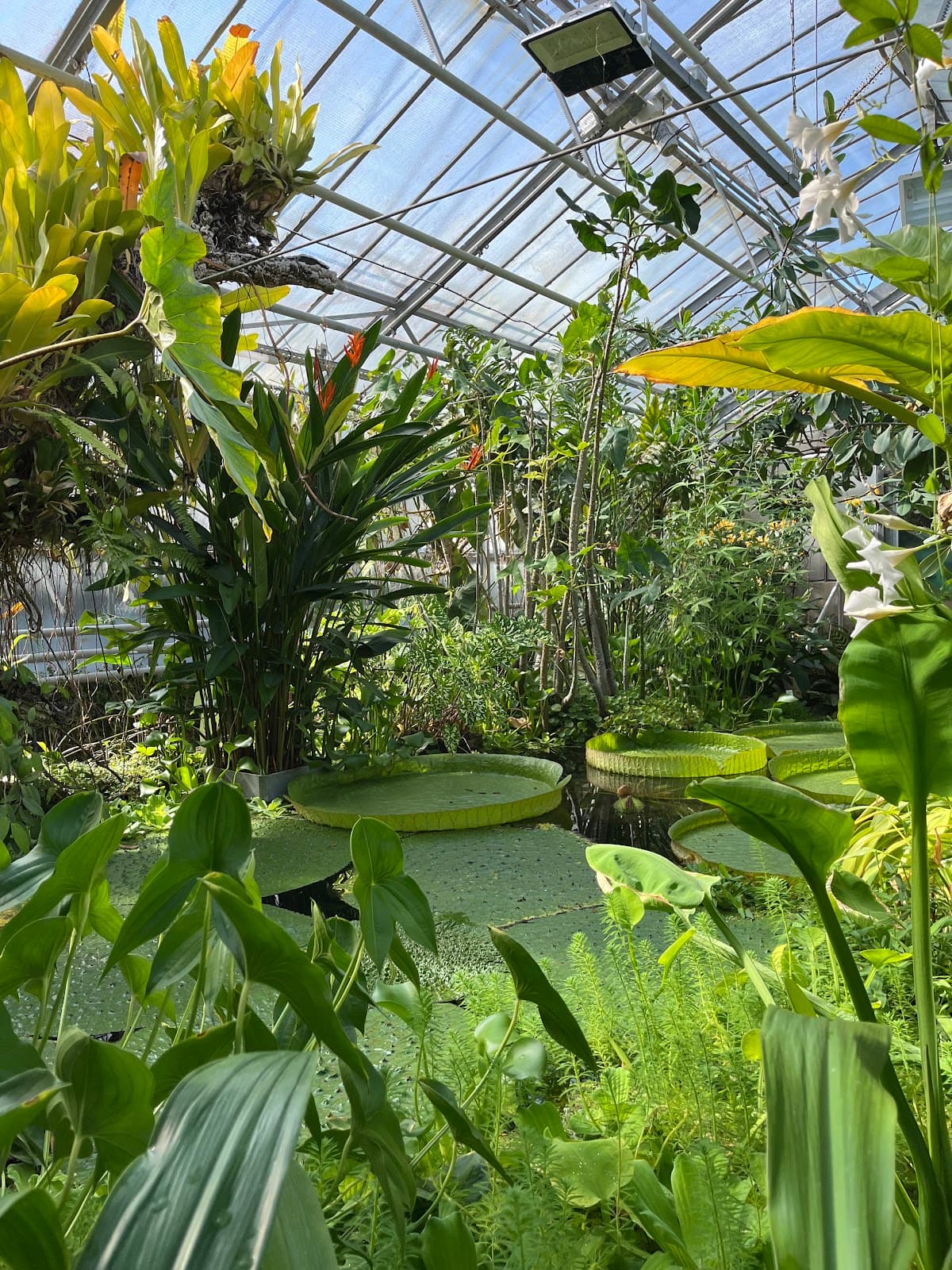 Jardin botanique Jean-Marie Pelt - Image 1