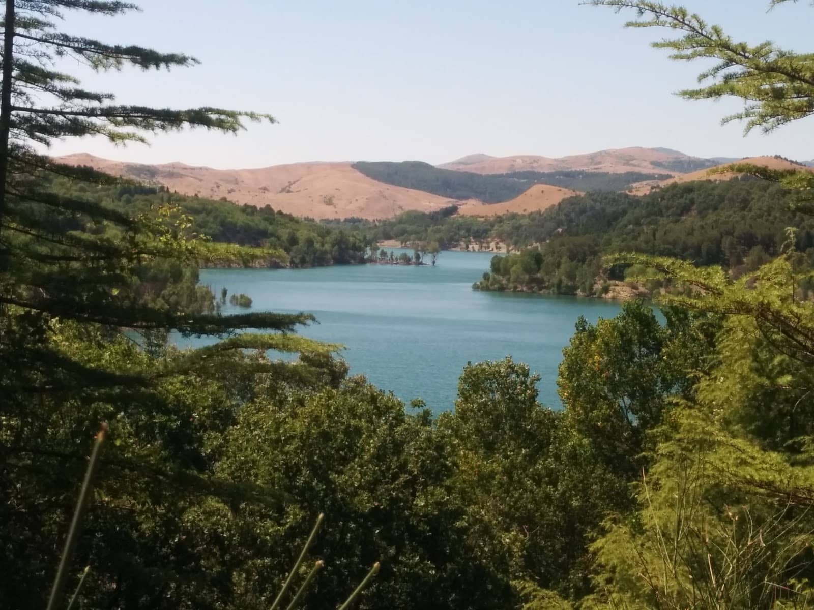 Hiking Trails