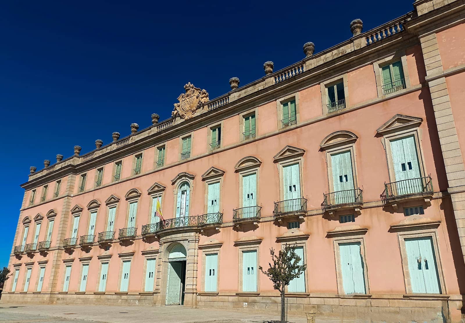 Surreal Forest Landscape