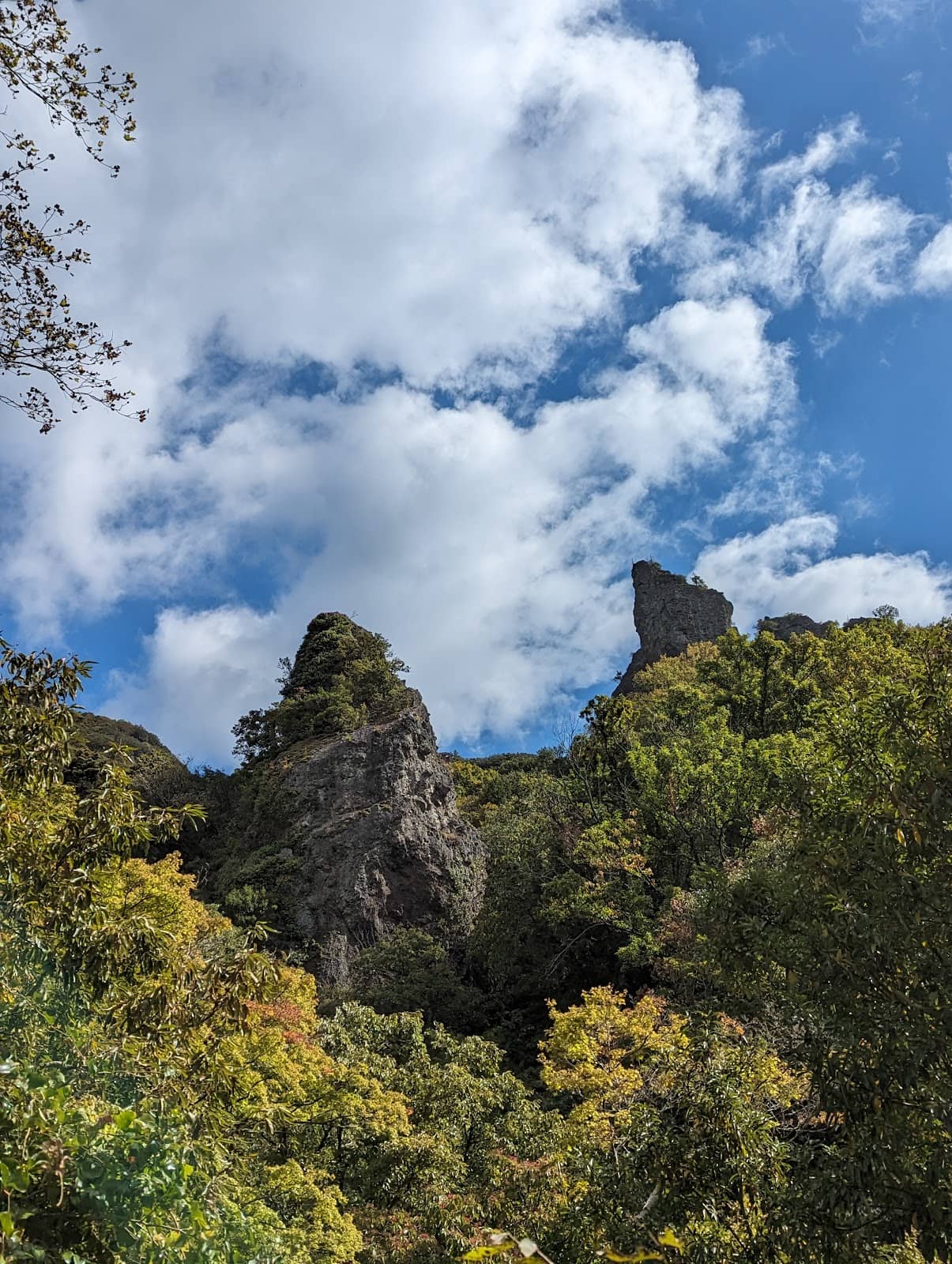Vertical photo
