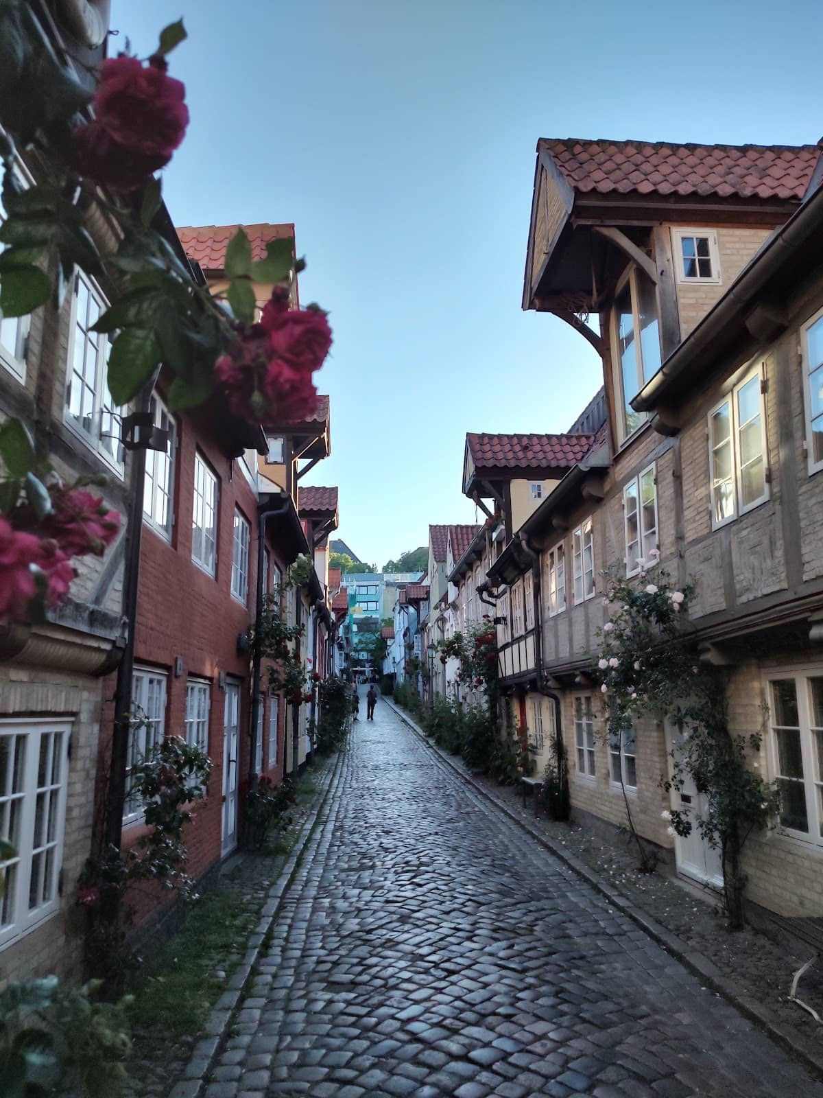 Whispering Pines Trail