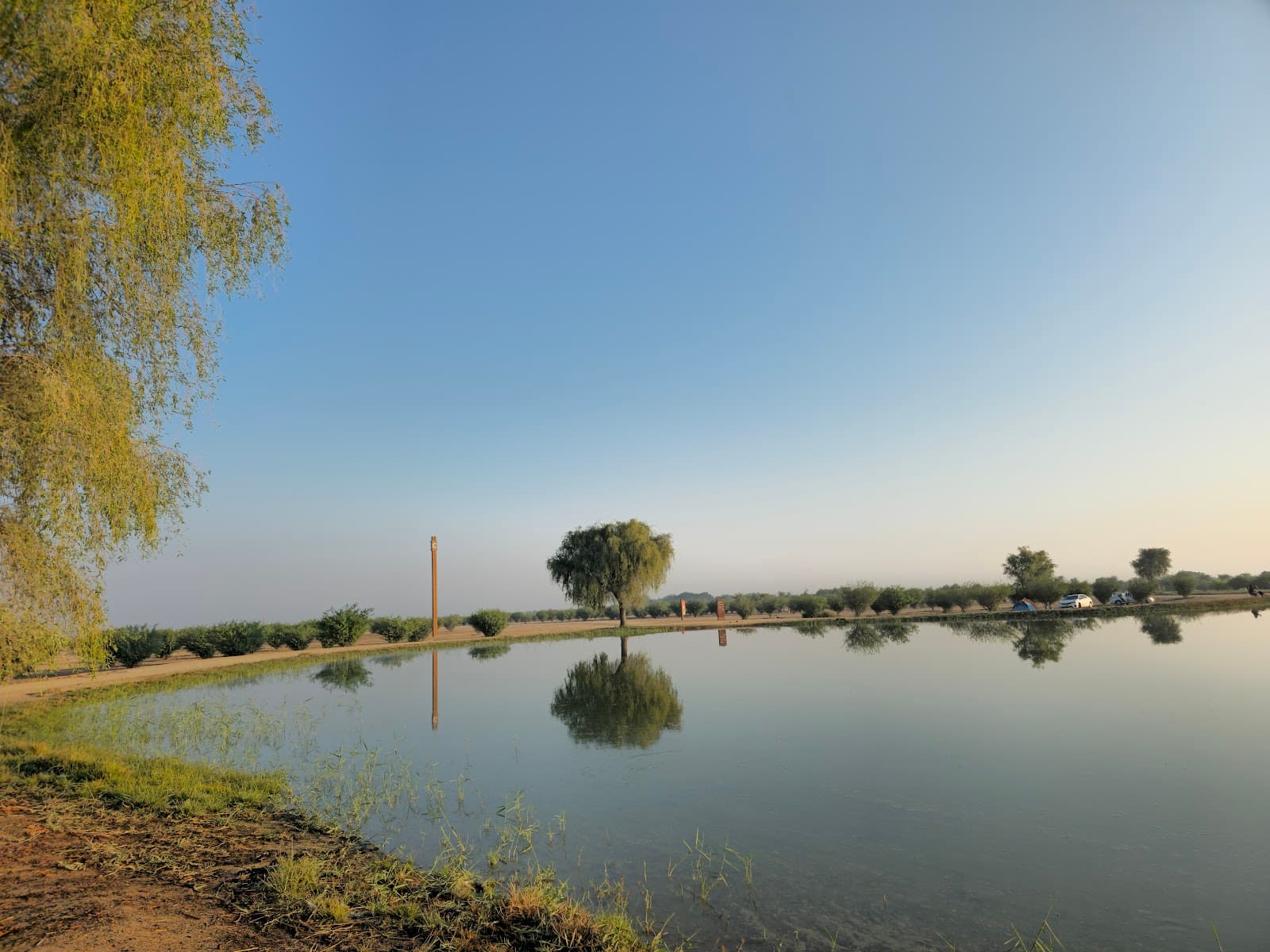 Al Qudra Lakes - Image 1