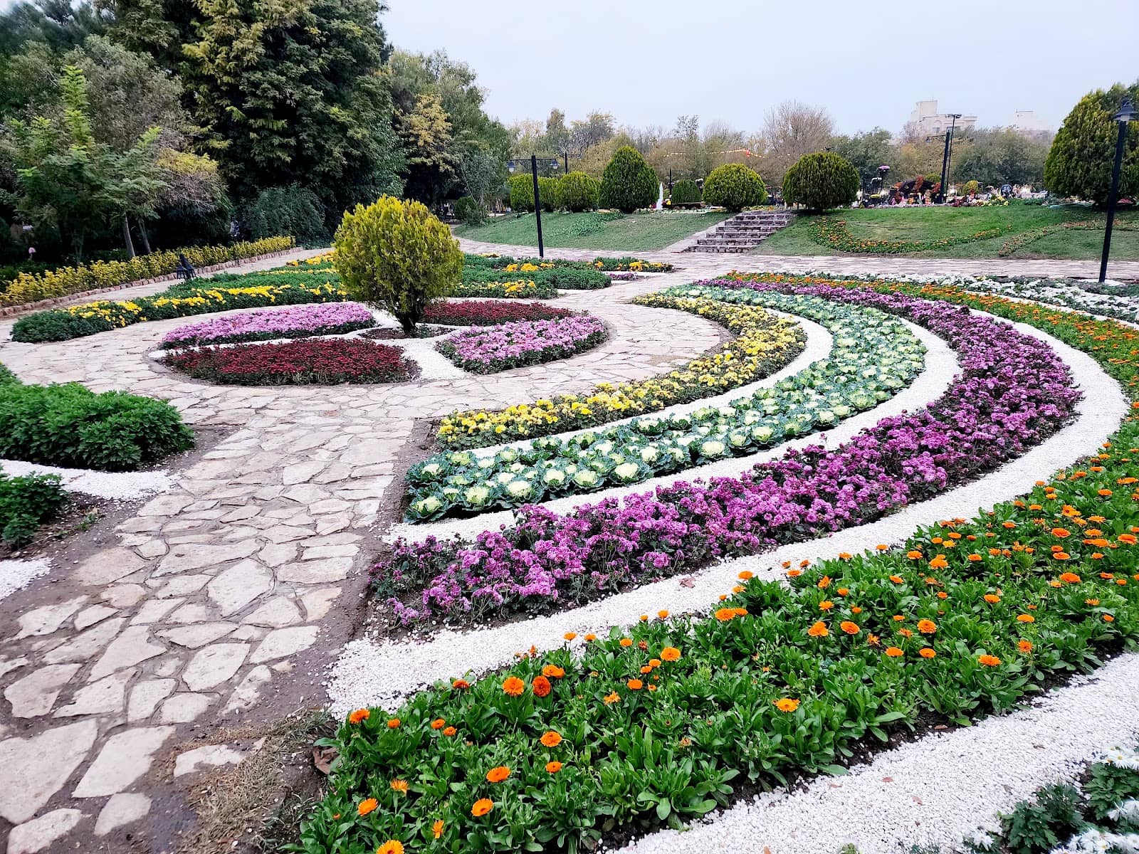 Ornamental Fish Ponds