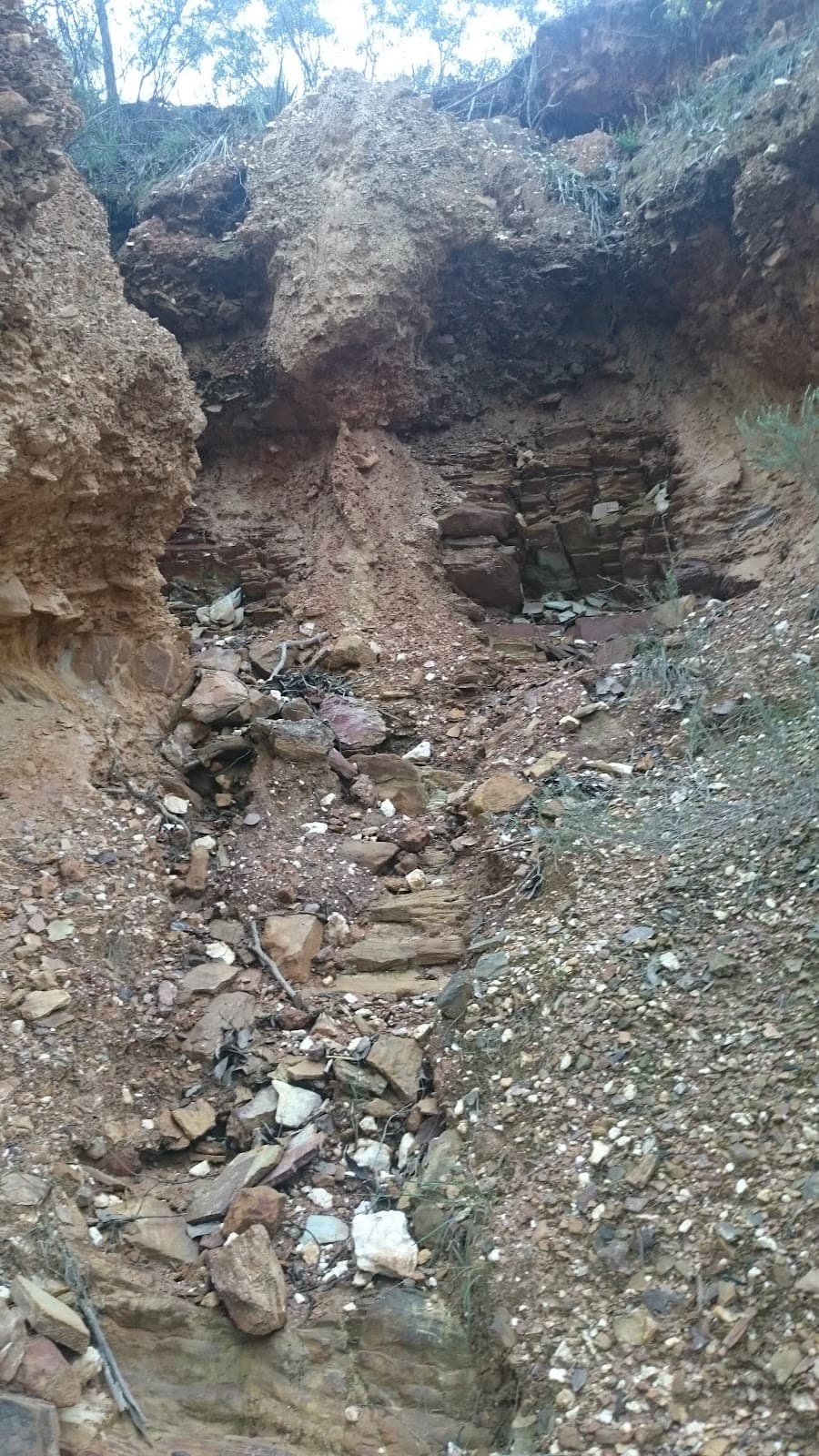 Goldfields Track (Dry Diggings) - Image 1