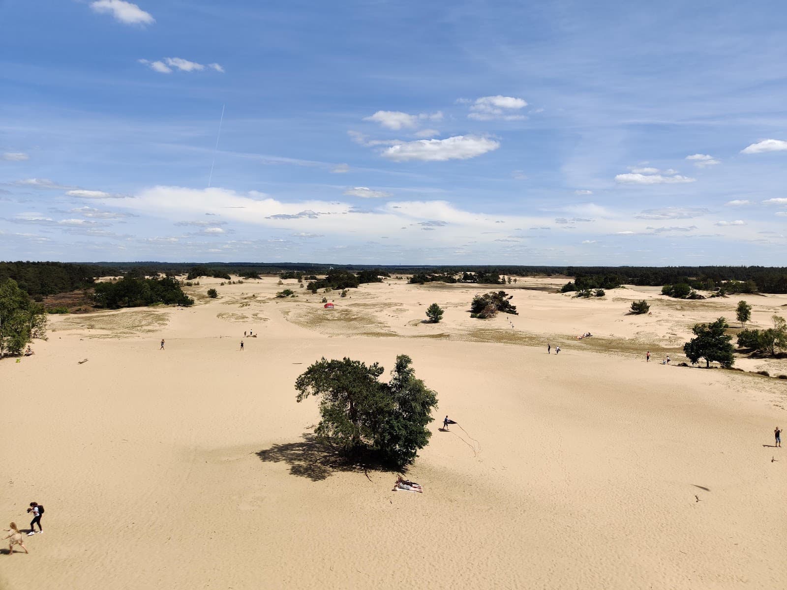 Kootwijkerzand - Image 1