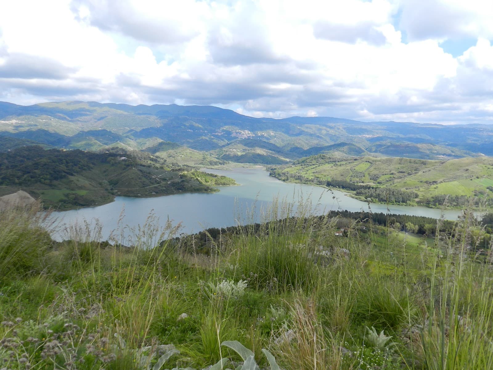 Lago Angitola Nature Reserve - Image 1