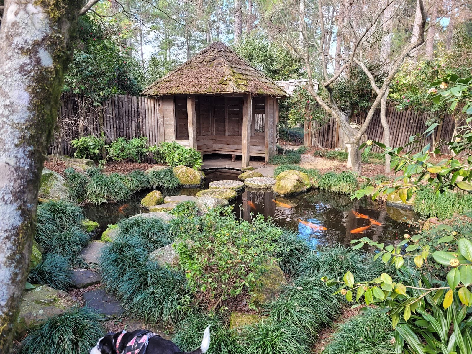 Massee Lane Gardens - Image 1