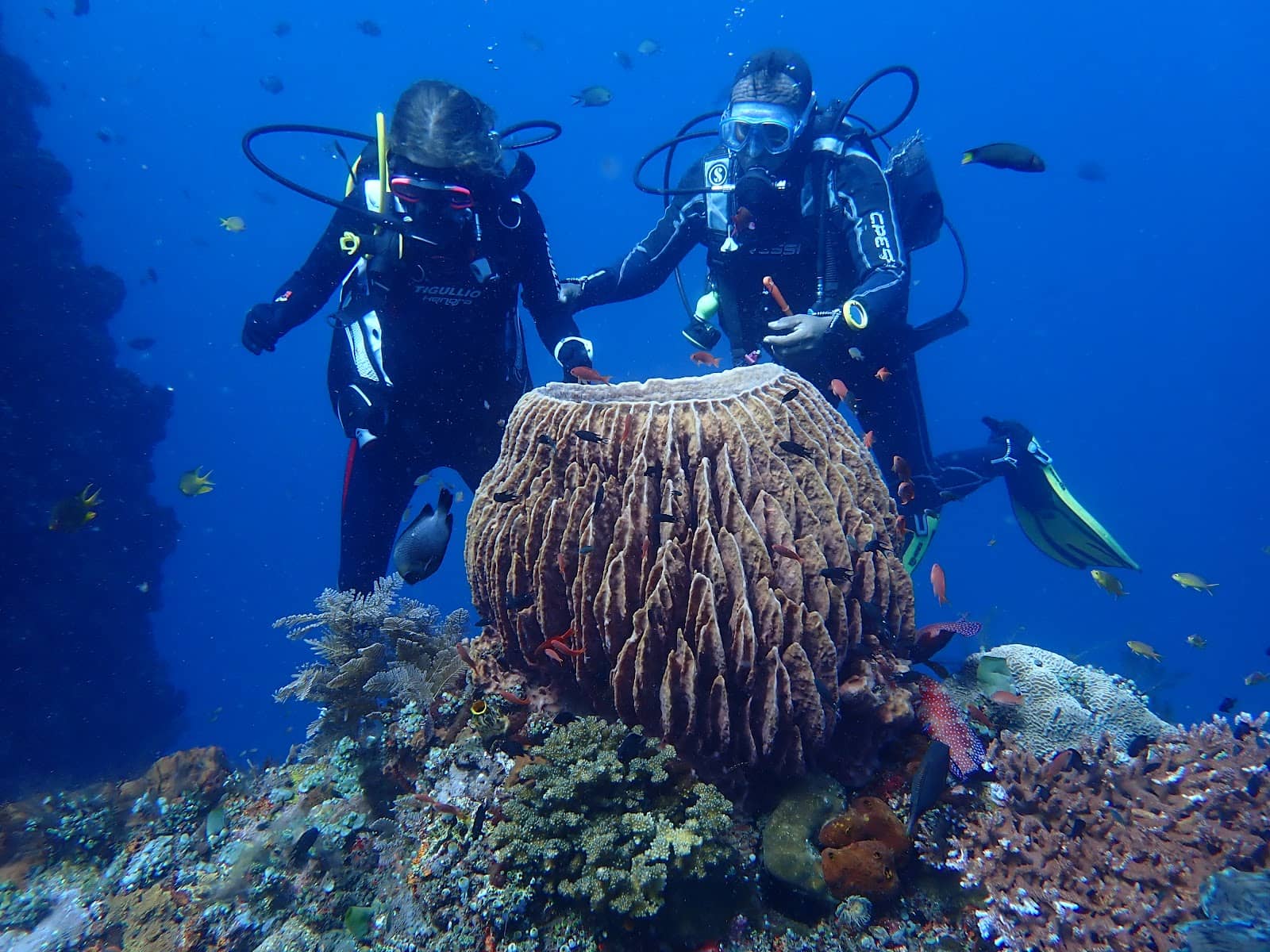 Blue Lagoon Dive
