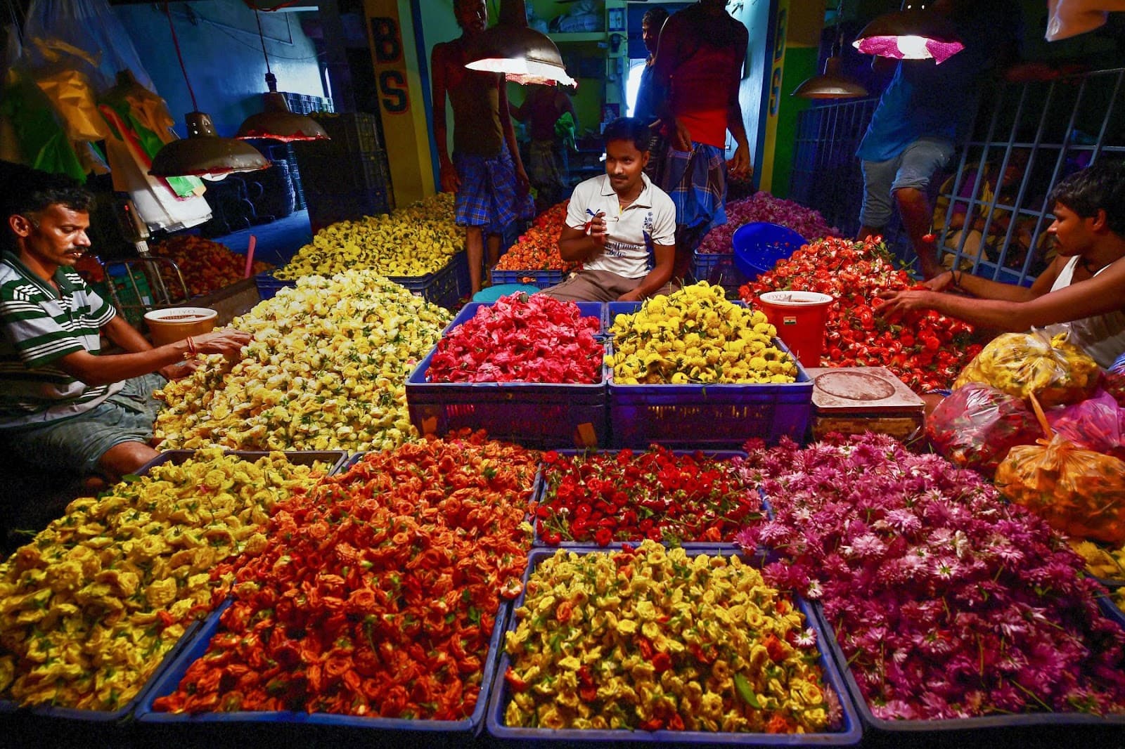 Koyambedu Market - Image 1