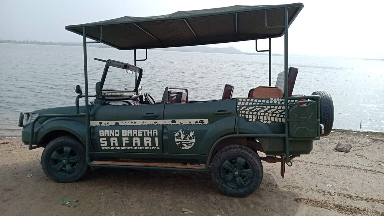 Diverse Wildlife Sightings