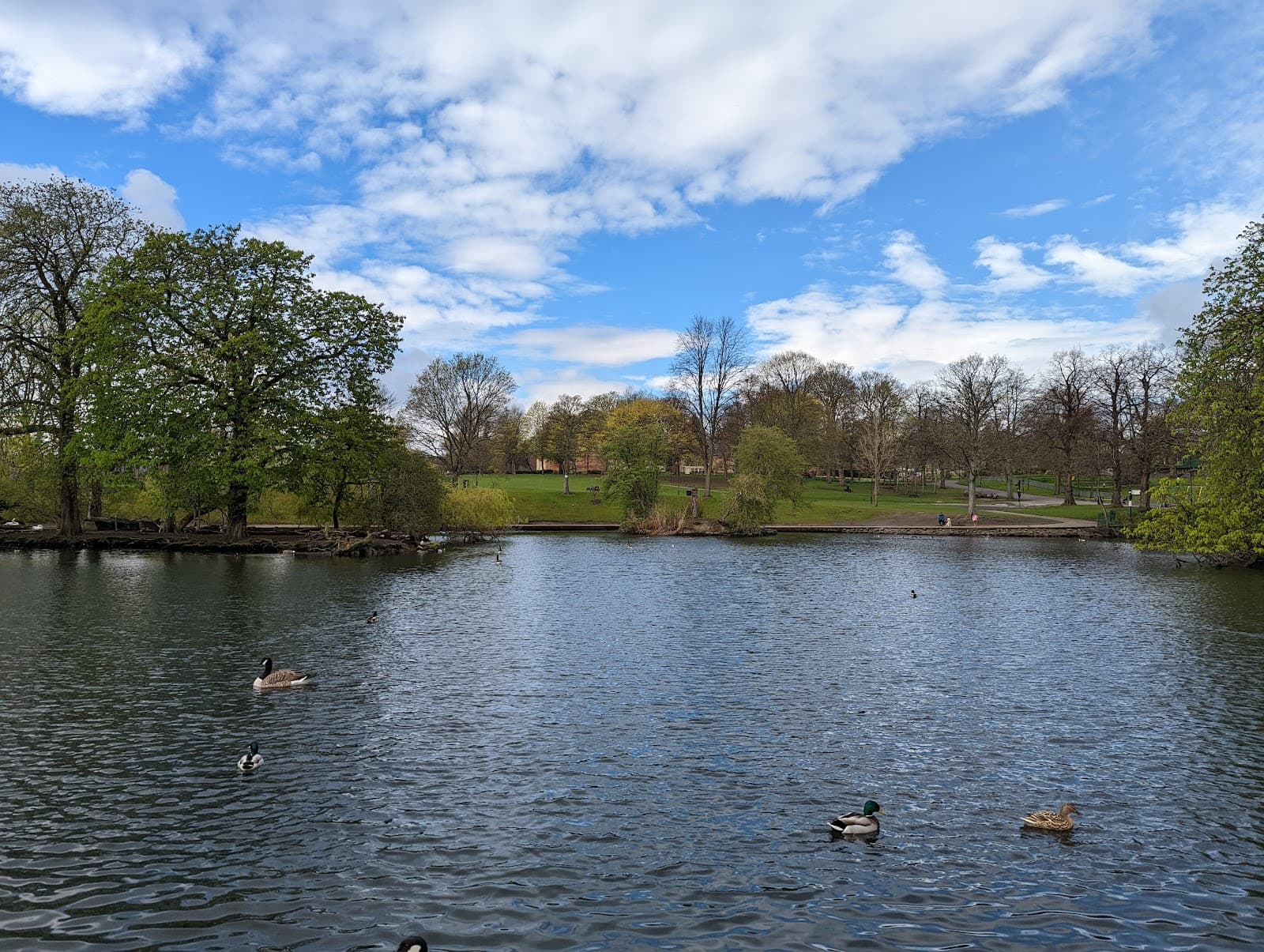 Hillsborough Park - Image 1