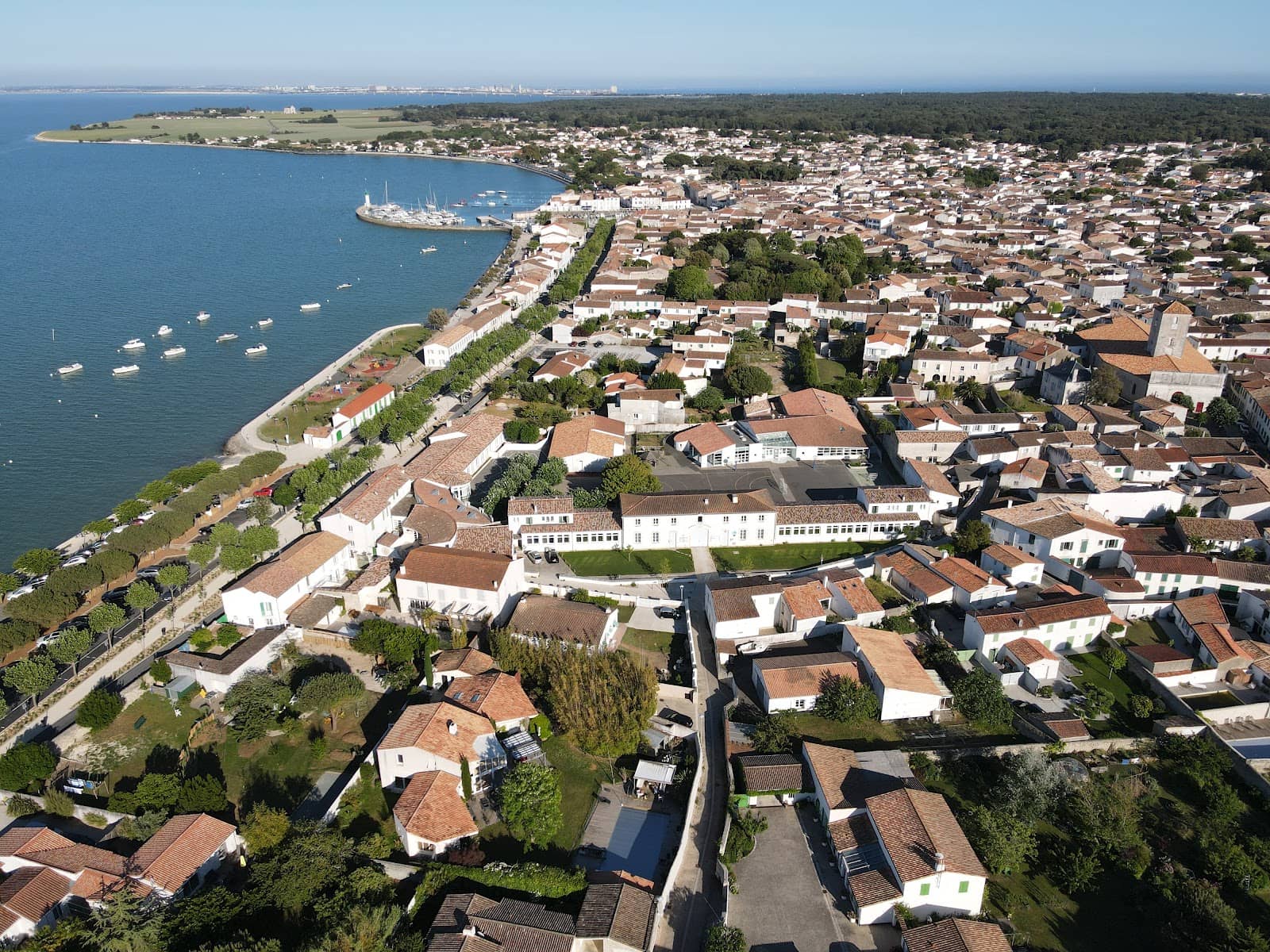 La Flotte Market