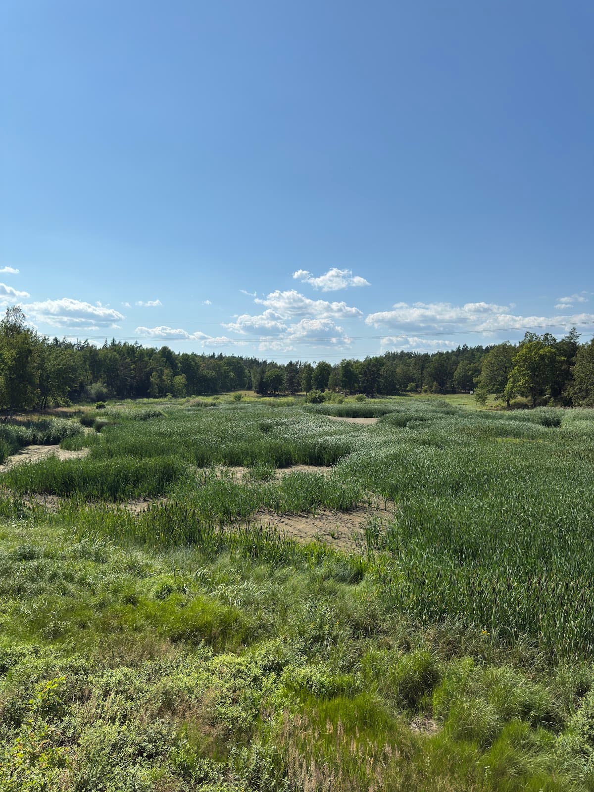 Långängen–Elfviks Nature Reserve - Image 1