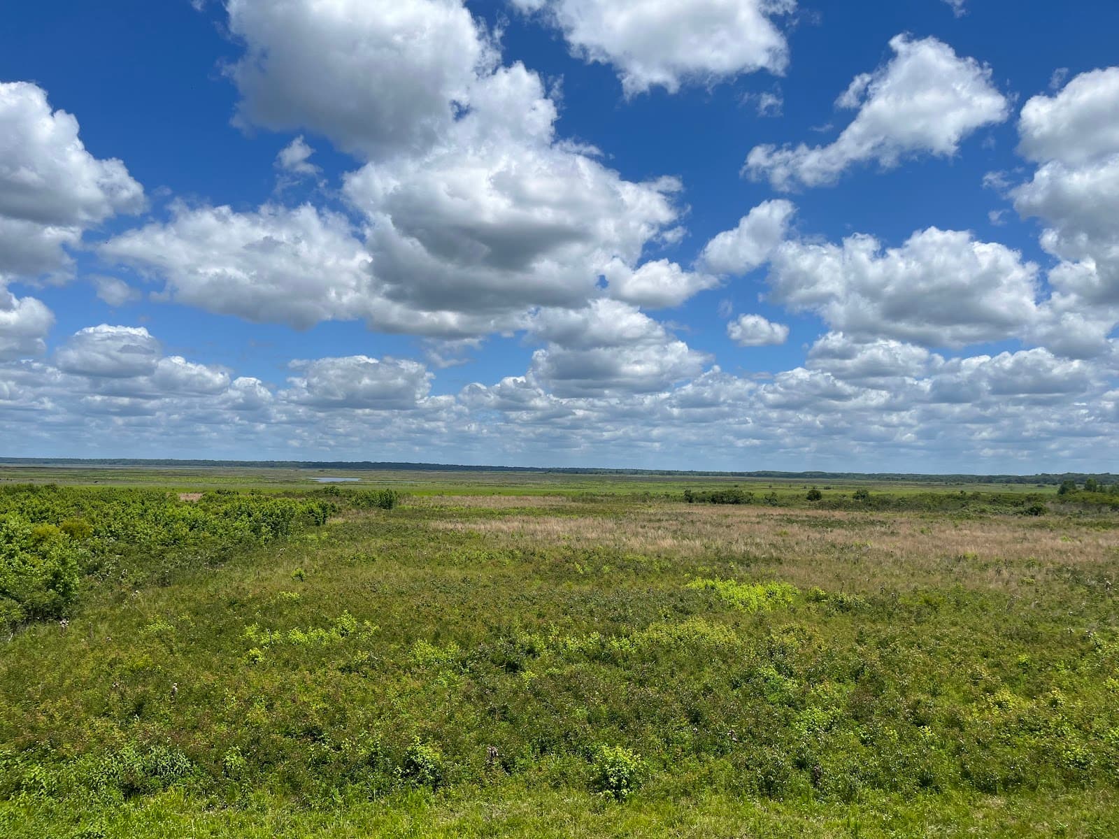 Paynes Prairie Preserve State Park - Image 1