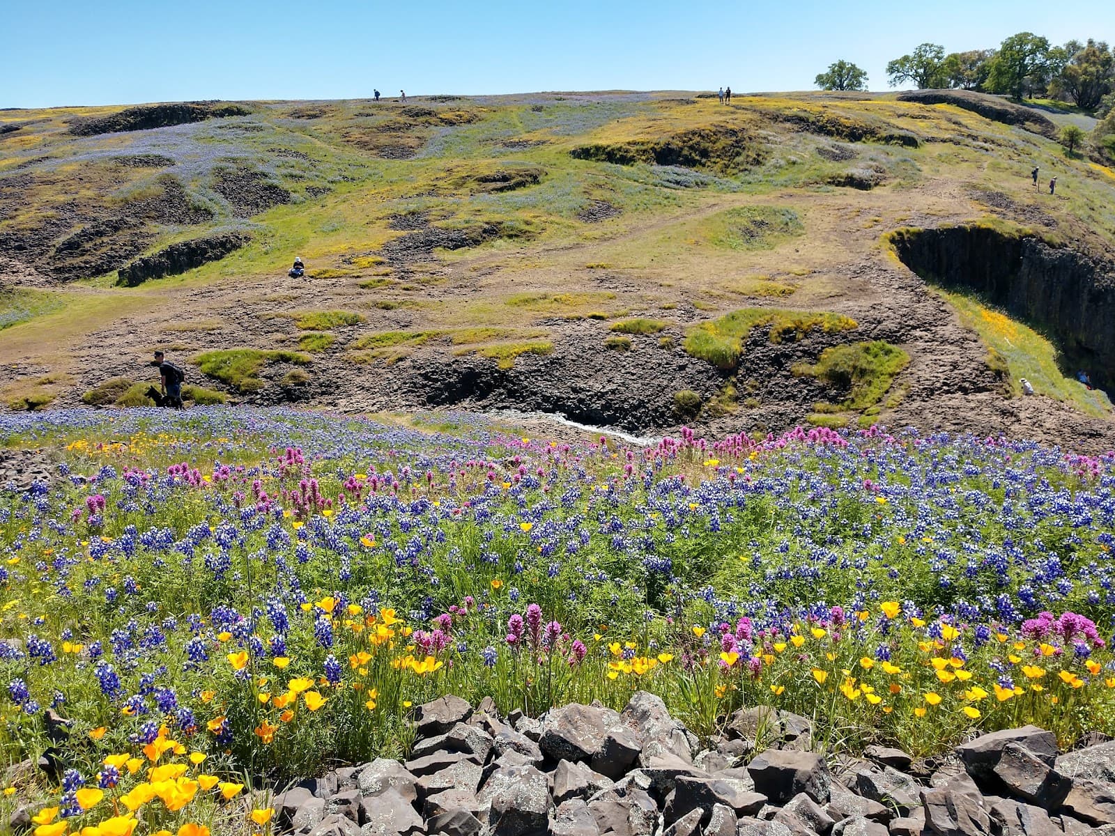 North Table Mountain Ecological Reserve - Image 1