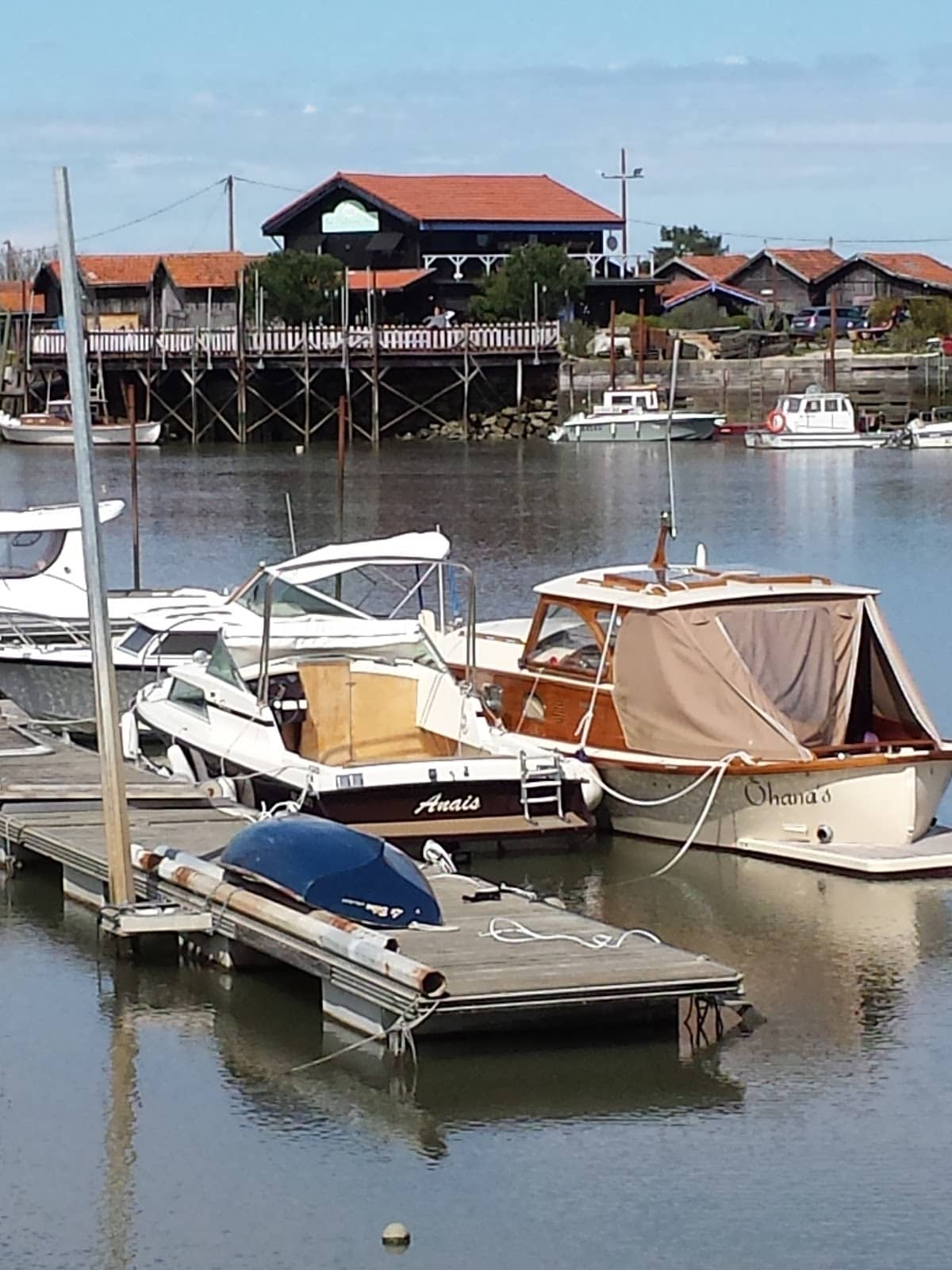 Picturesque Harbor Views