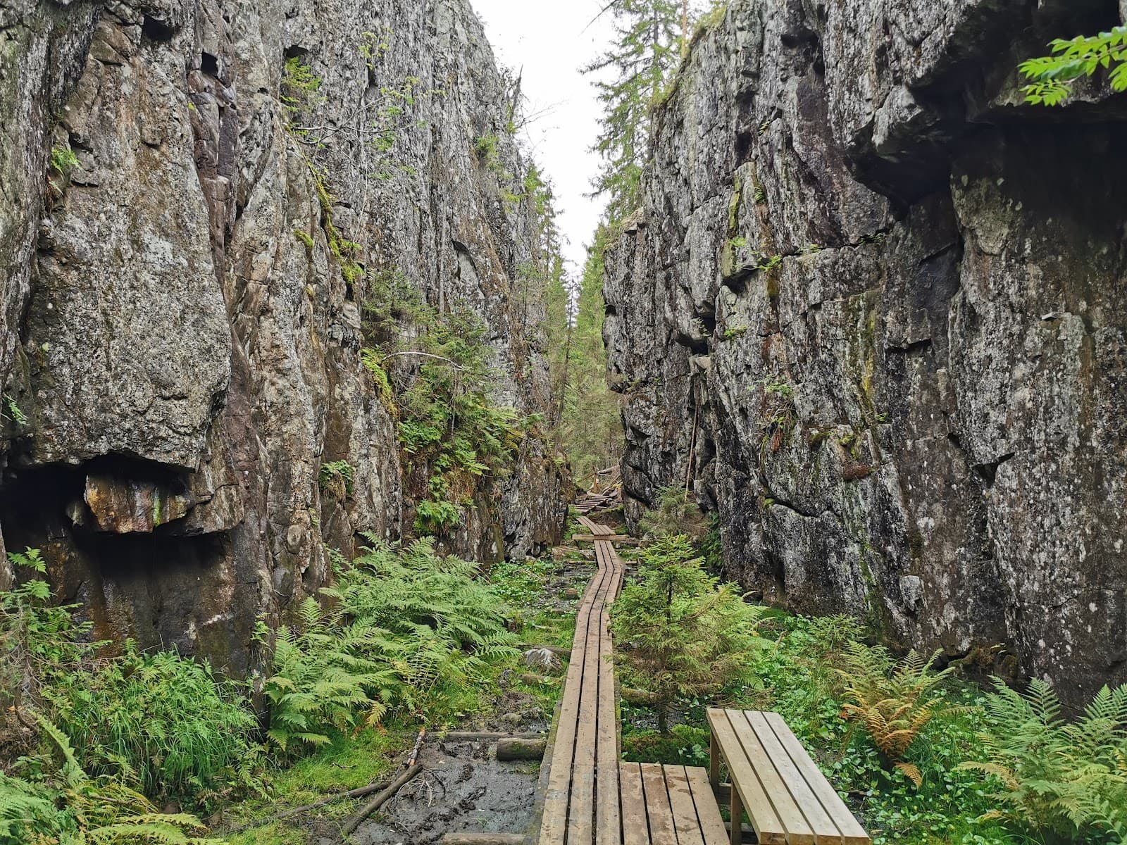 Orinoro Gorge (Leppävirta) - Image 1
