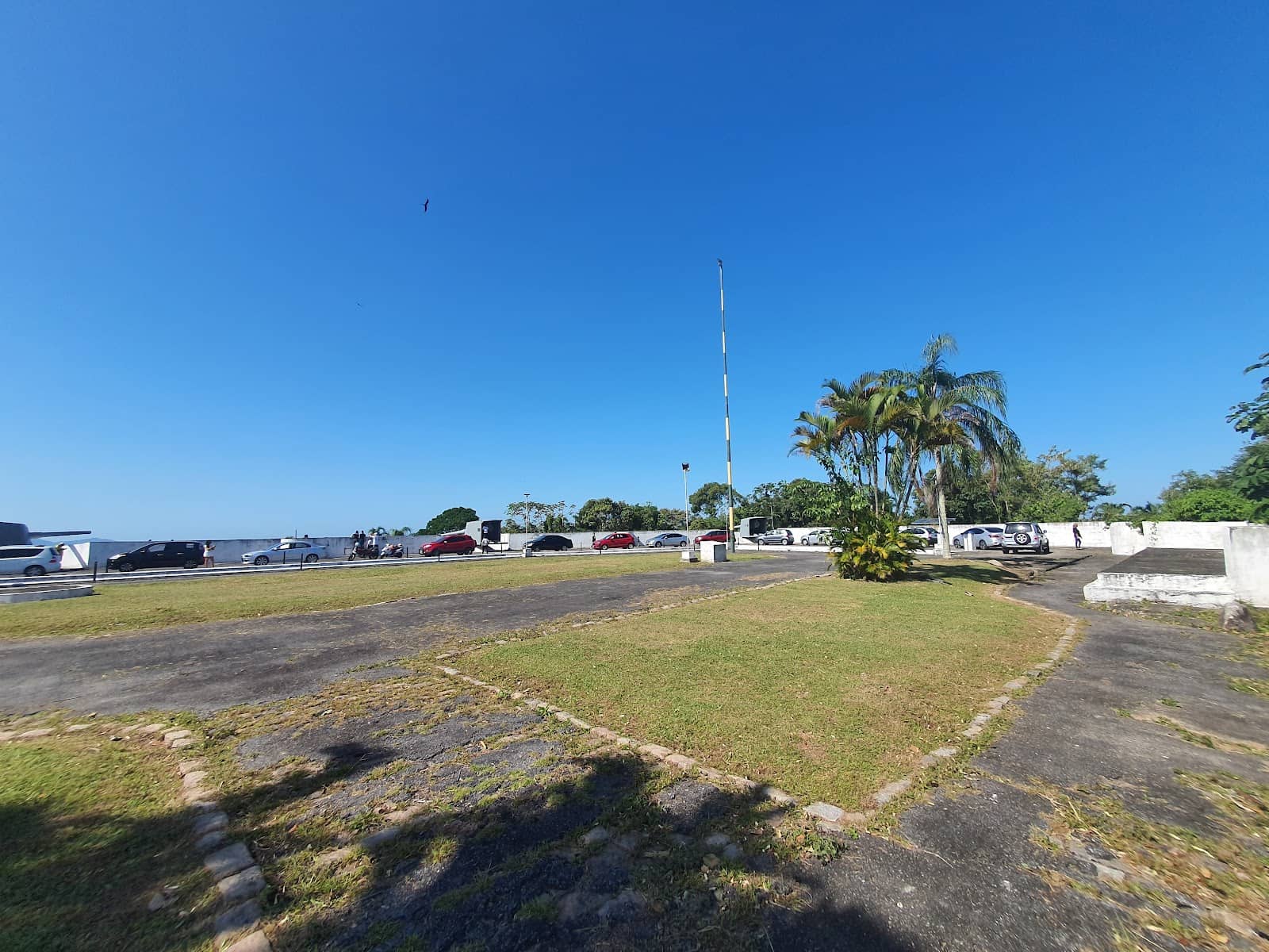 Friendly and Knowledgeable Staff